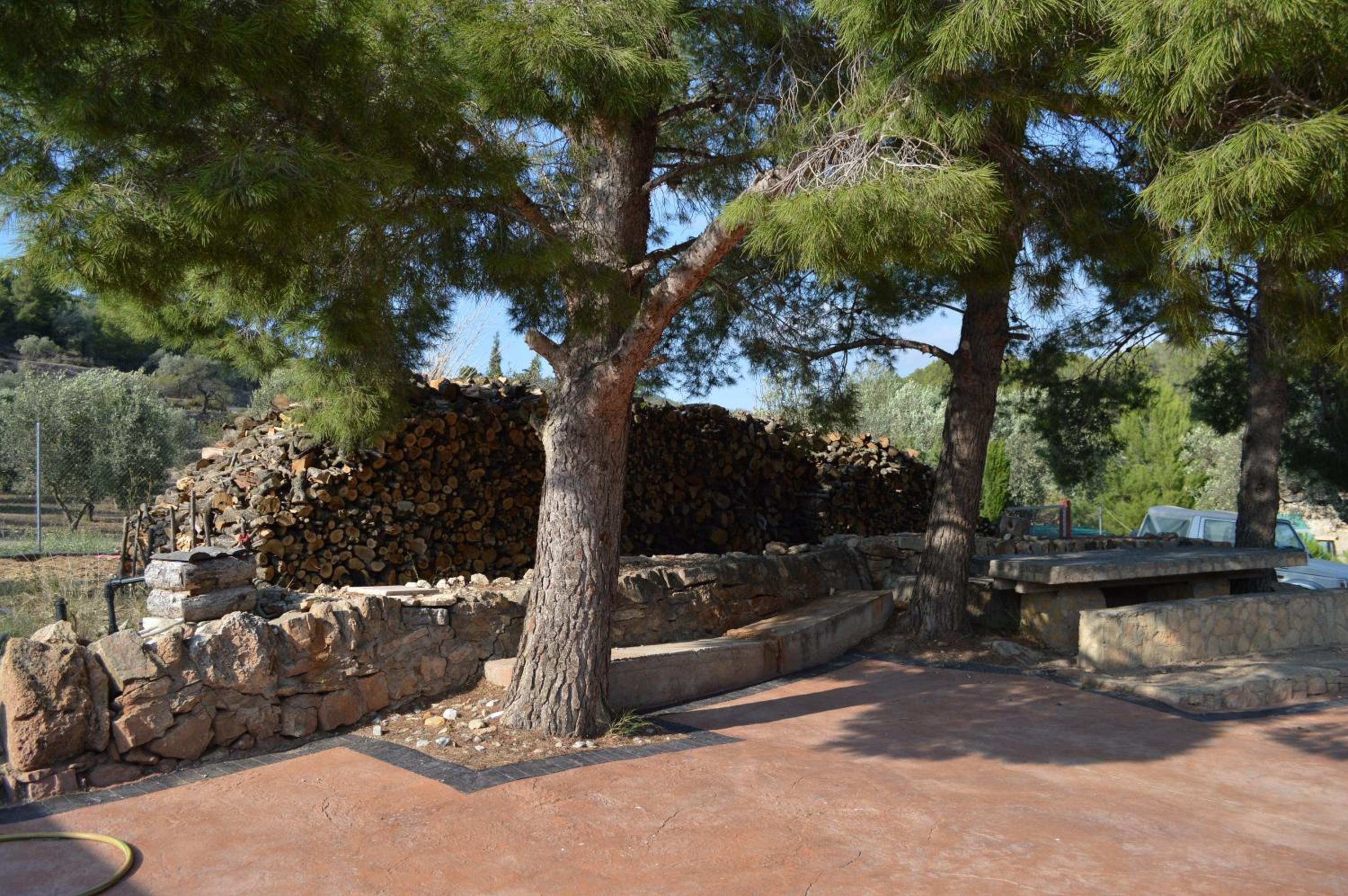 Photo 17