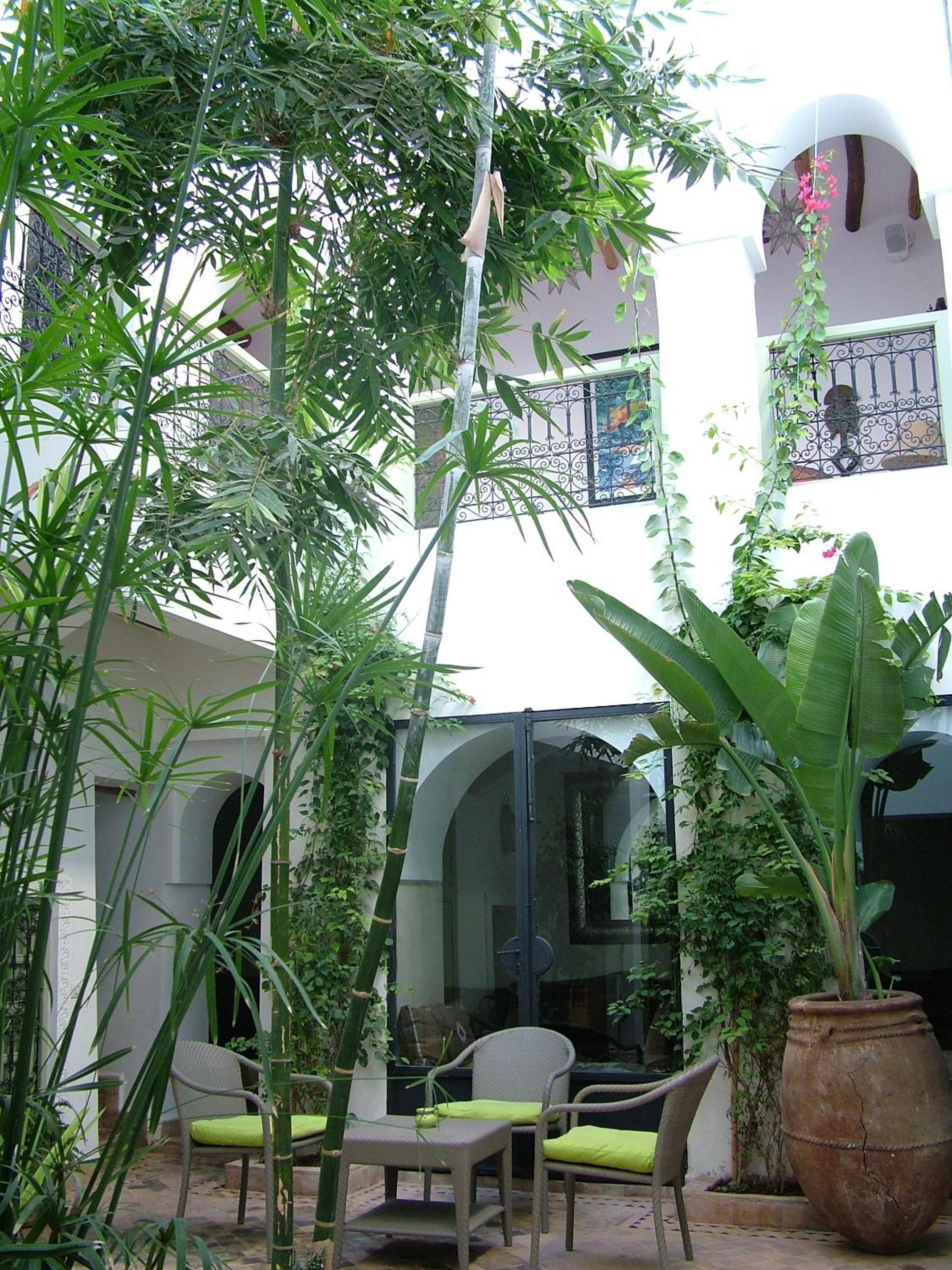 Riad Timila