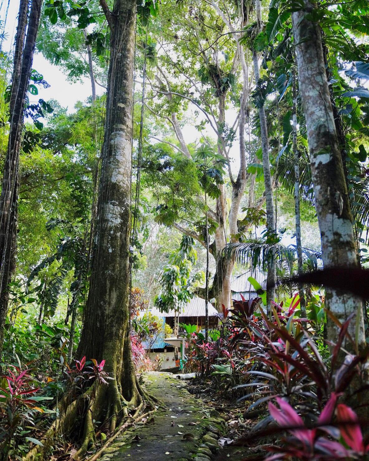Hosteria El Paraiso de las Orquideas