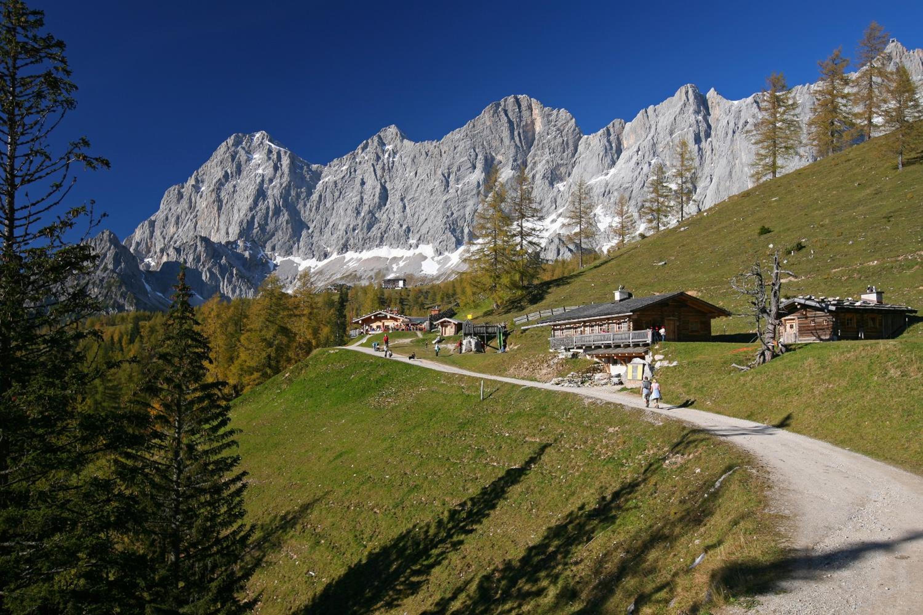 Biobauernhof Brandlhof