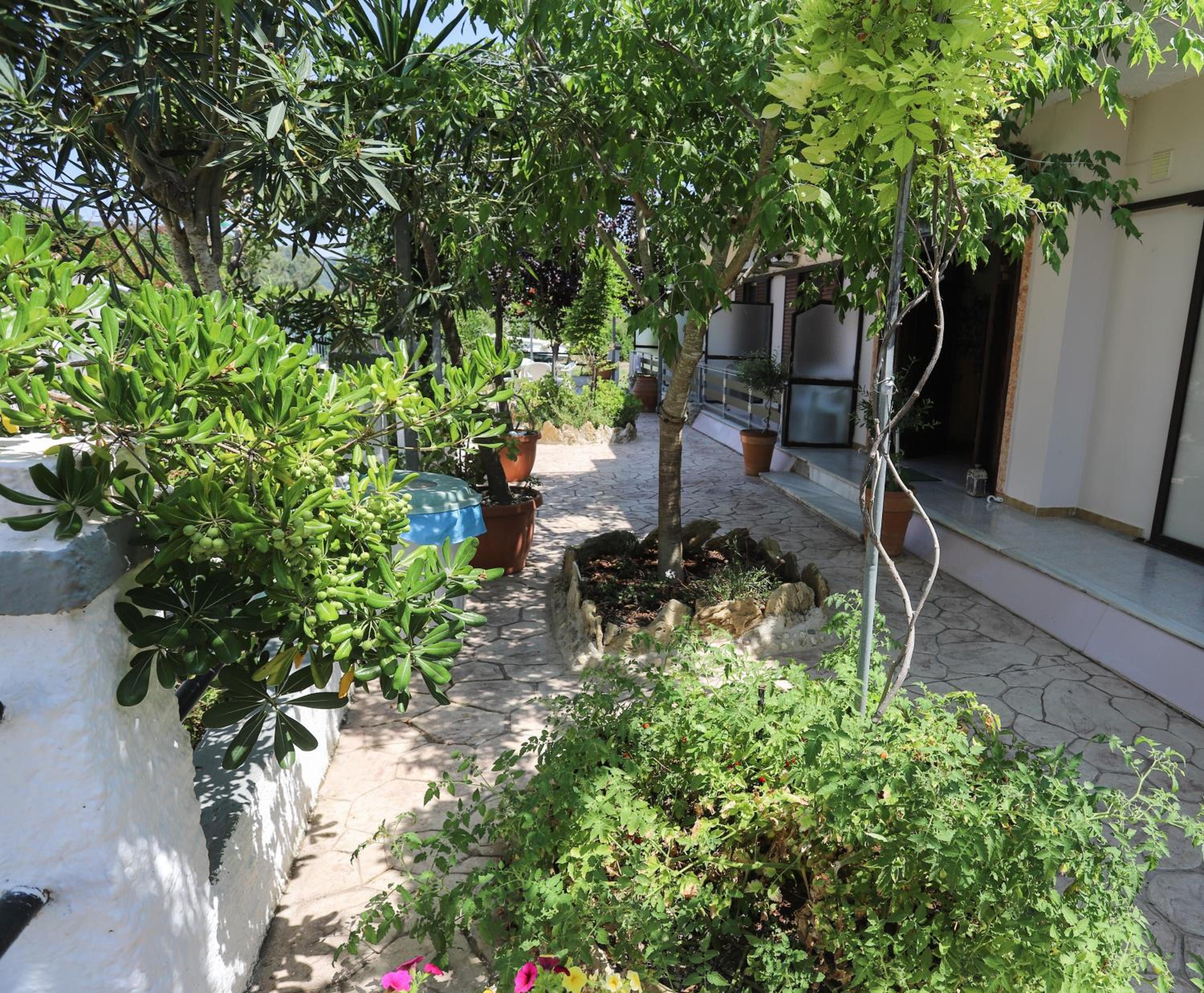 Villa Dream Garden