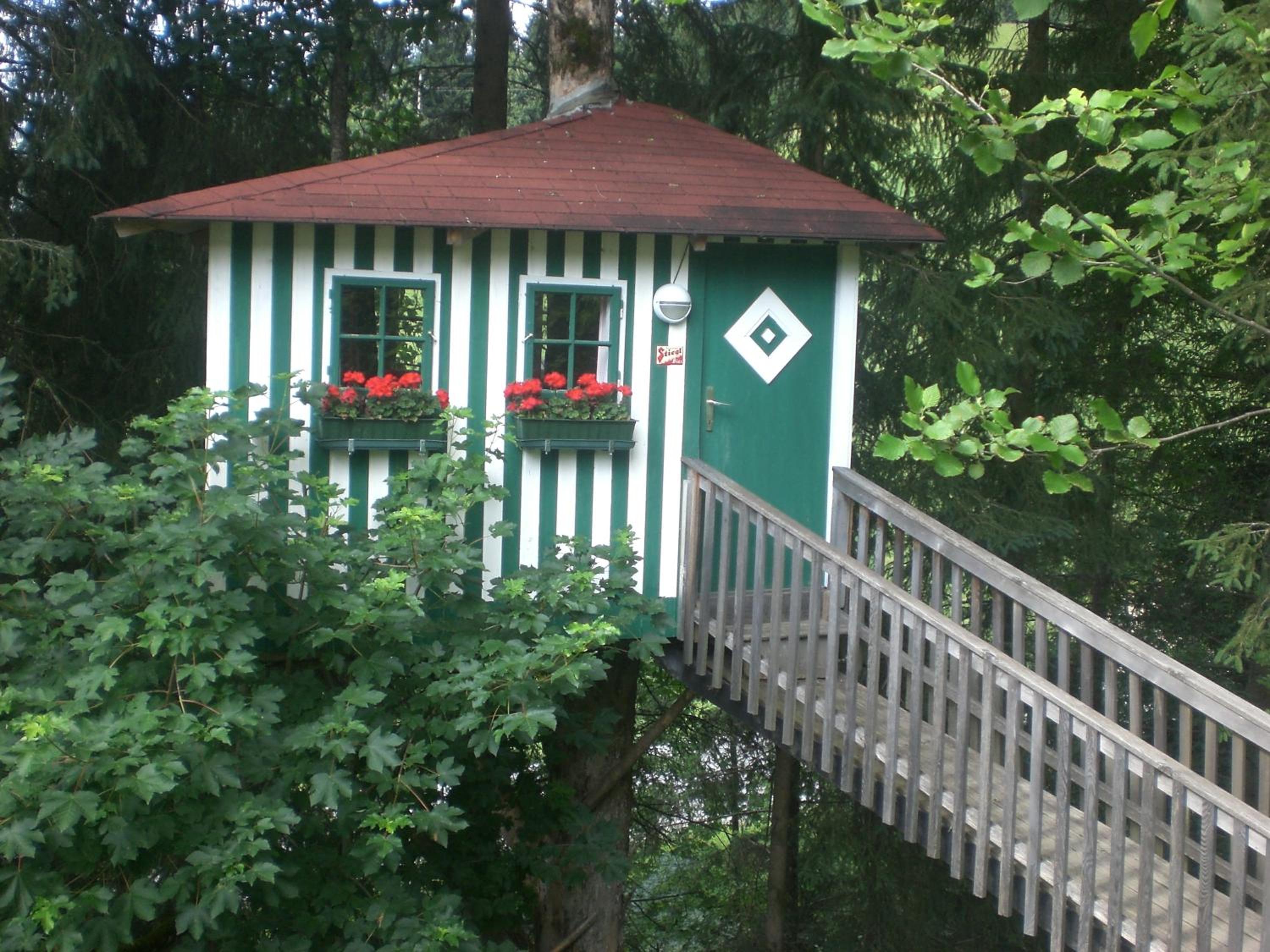Photo 42