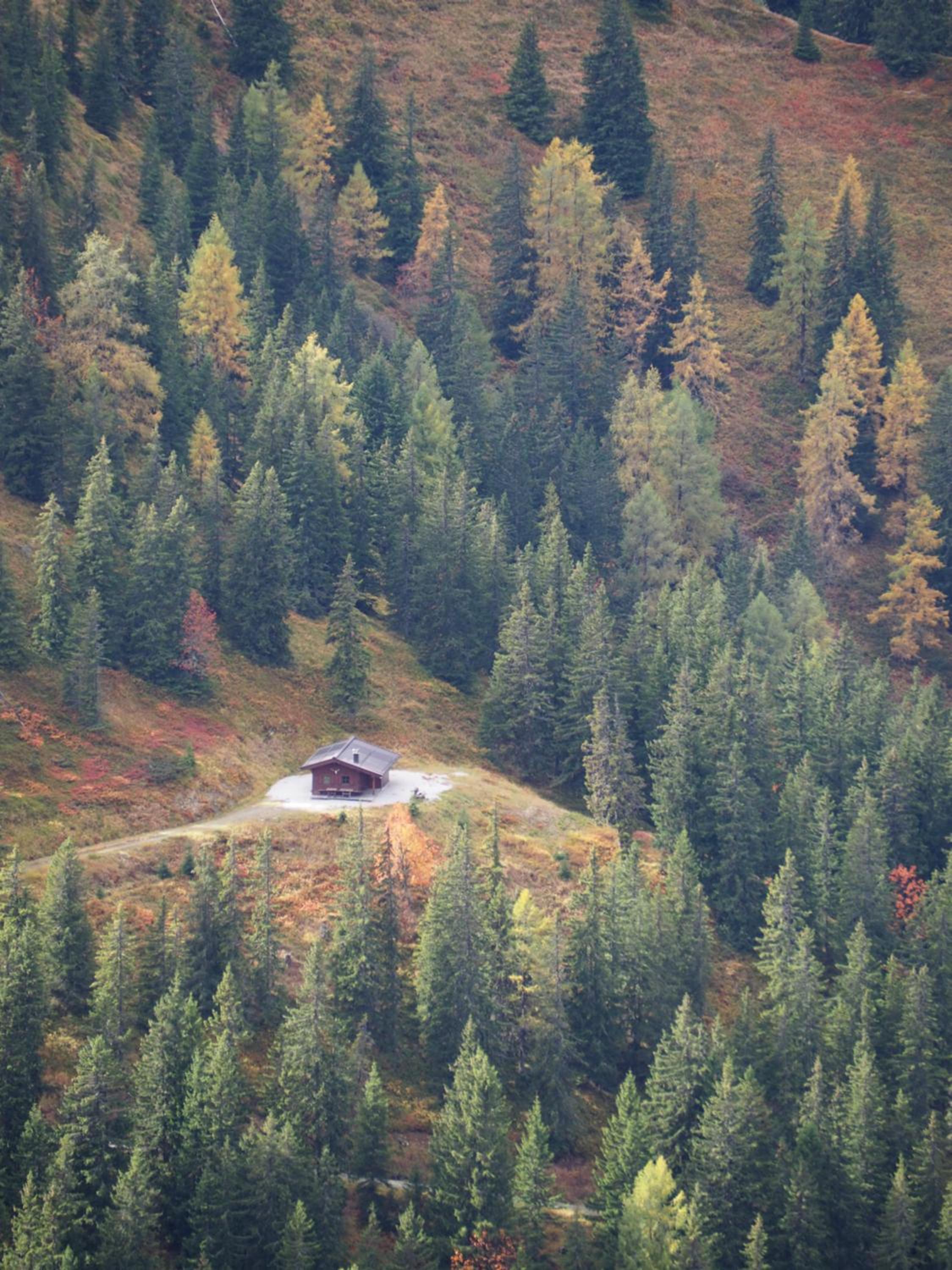Pension Koch