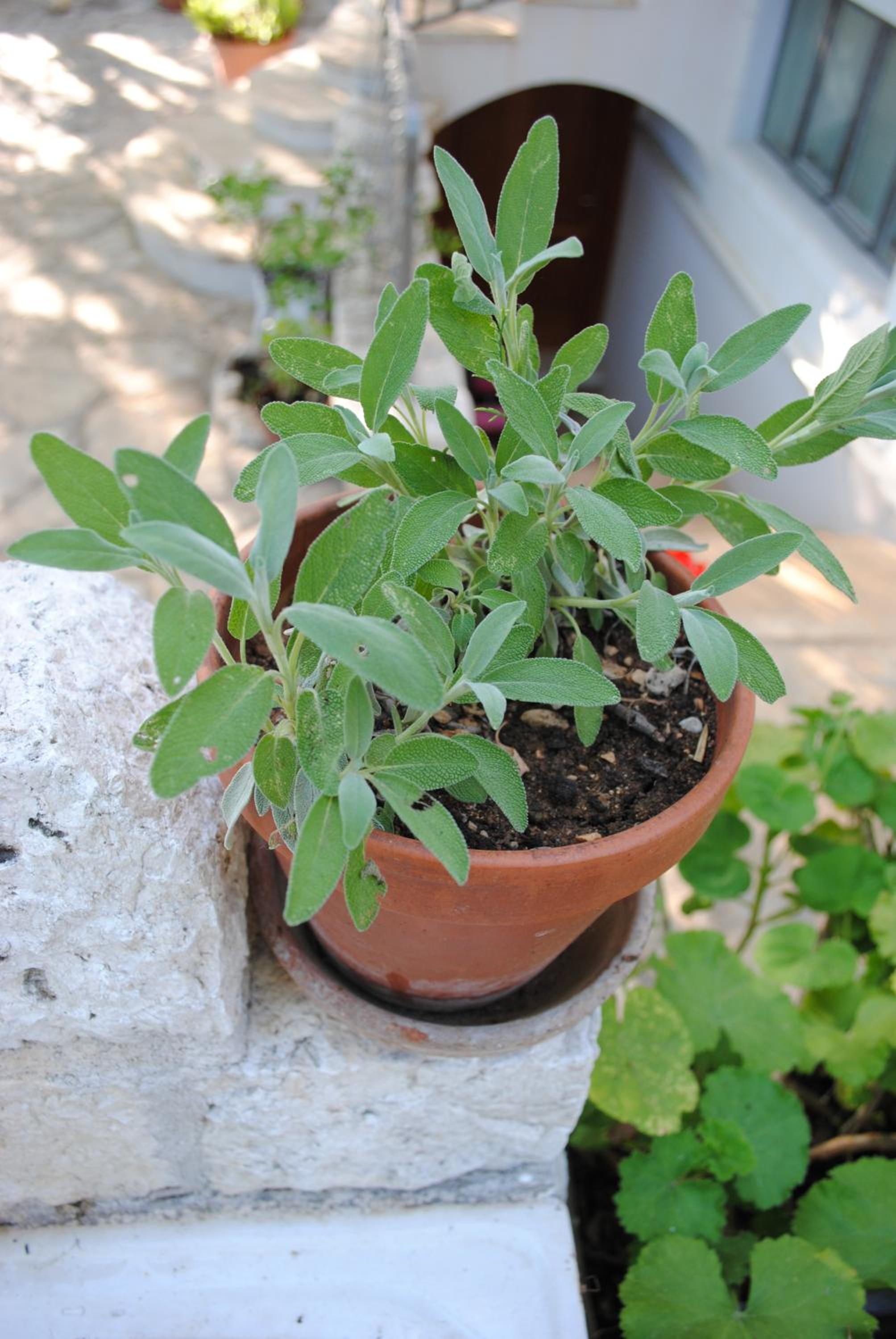Photo 14