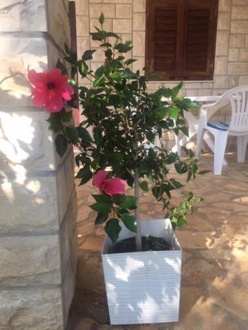 Family friendly holiday home "Ana" with heated pool view 5