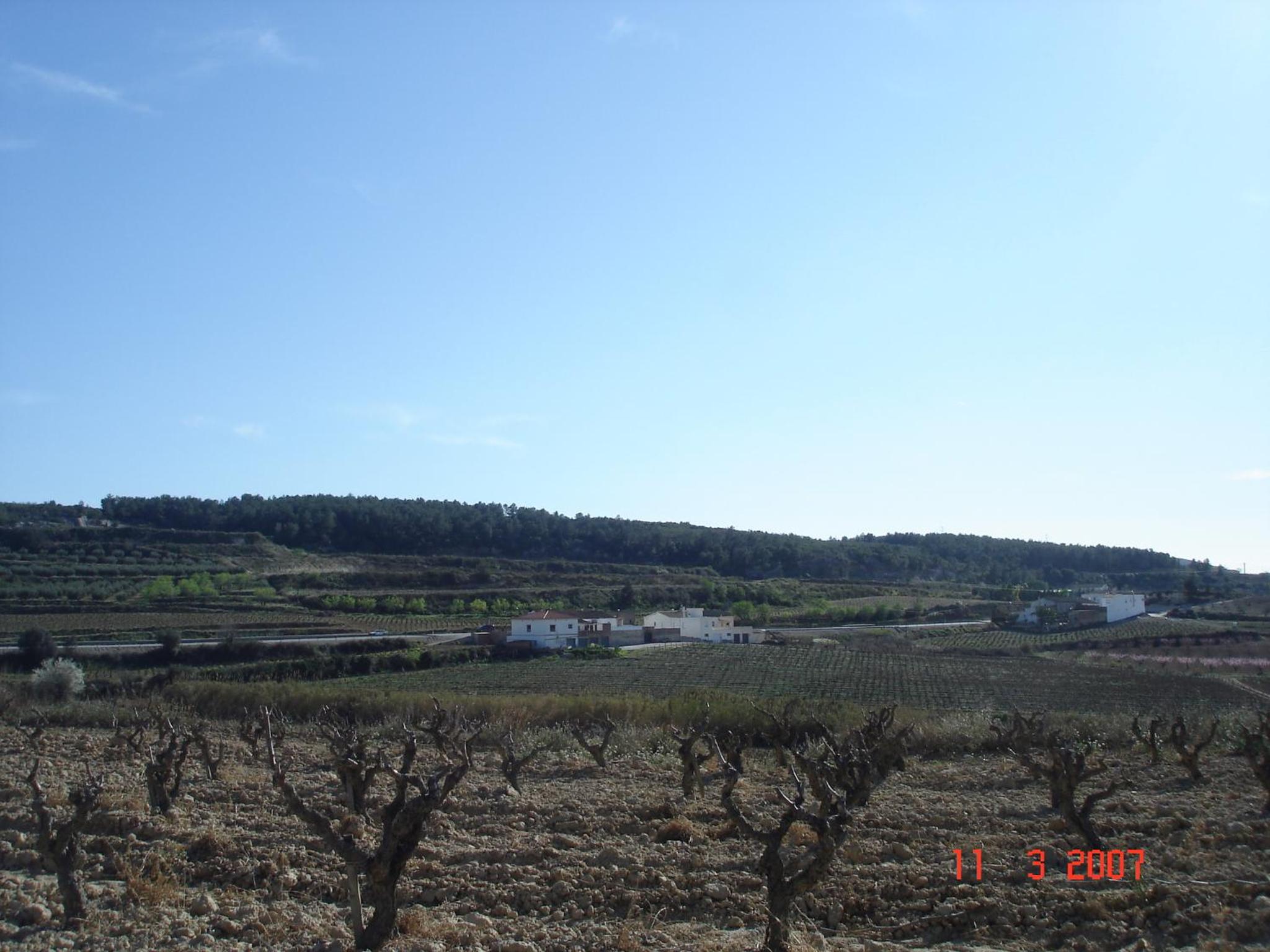 Photo 20