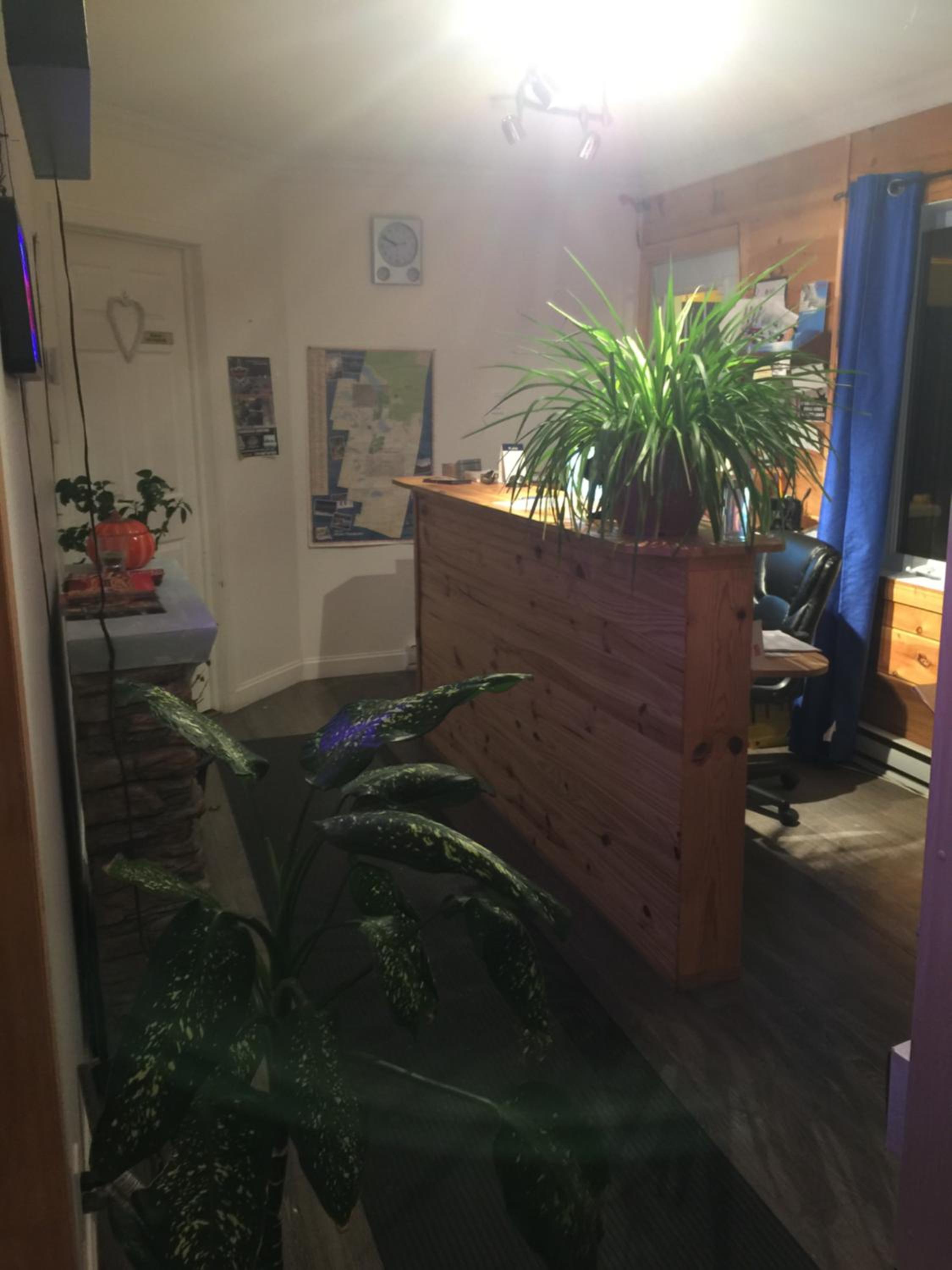 Photo 7