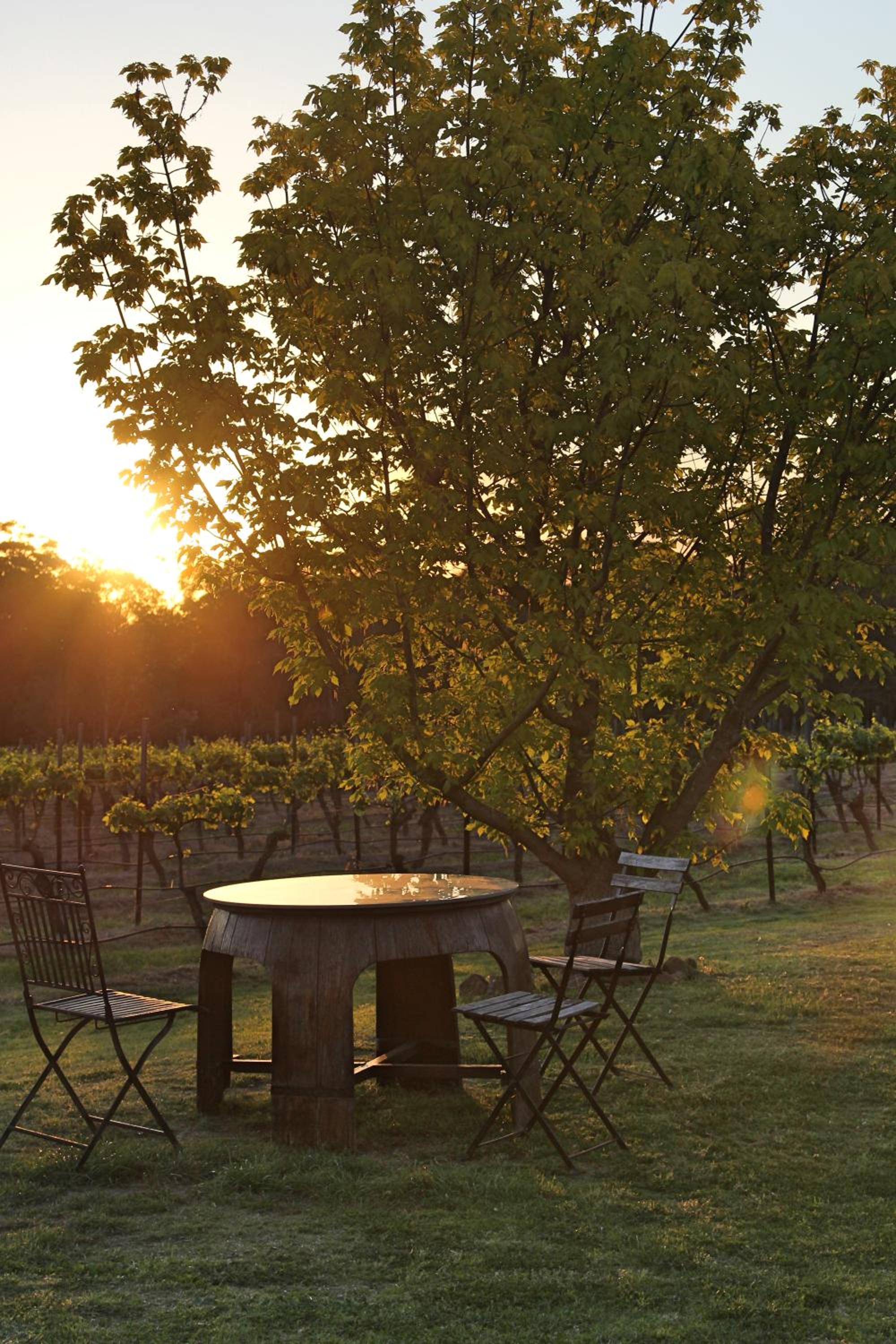 Blueberry Hill Vineyard Stay