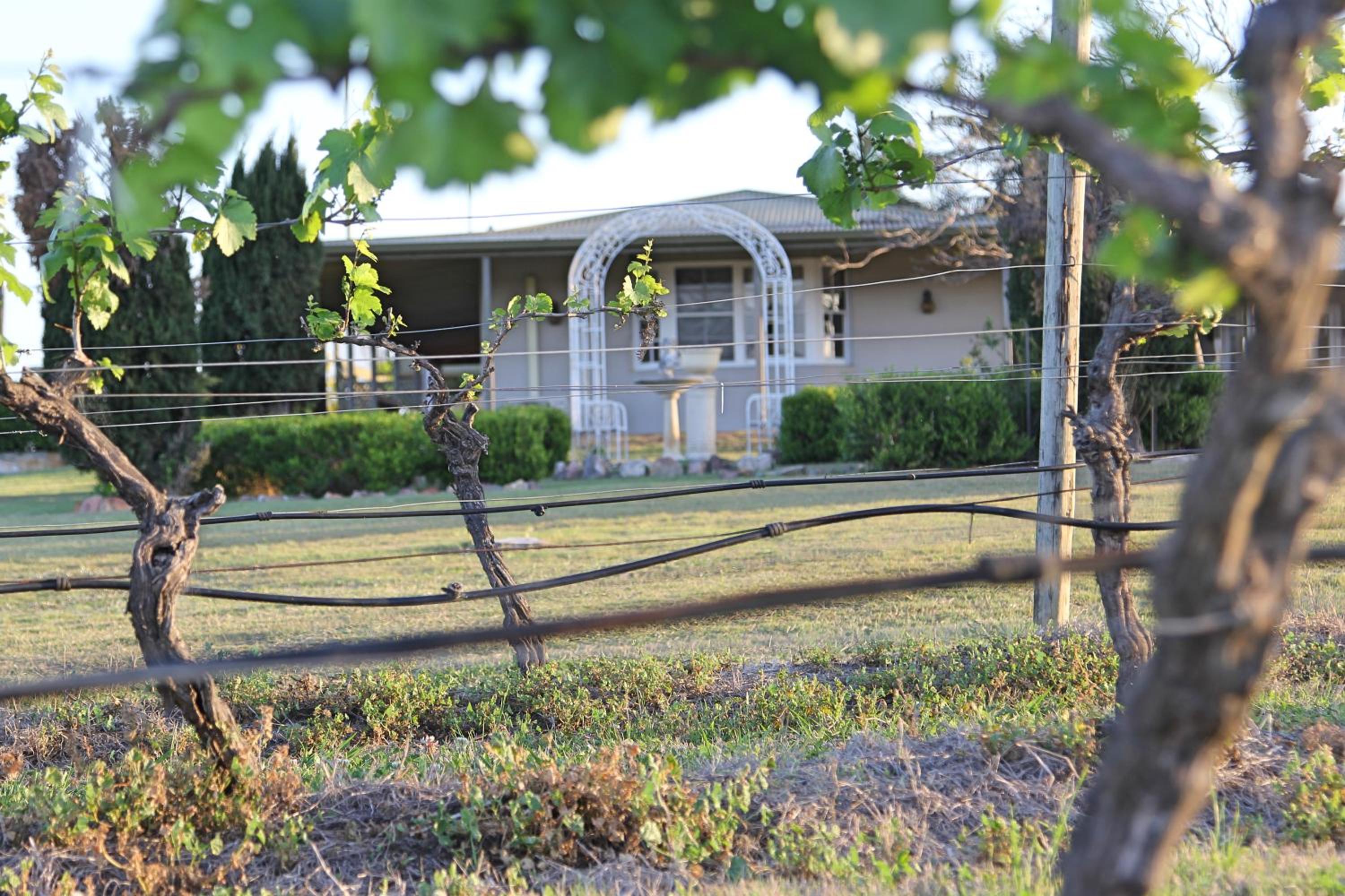 Blueberry Hill Vineyard Stay