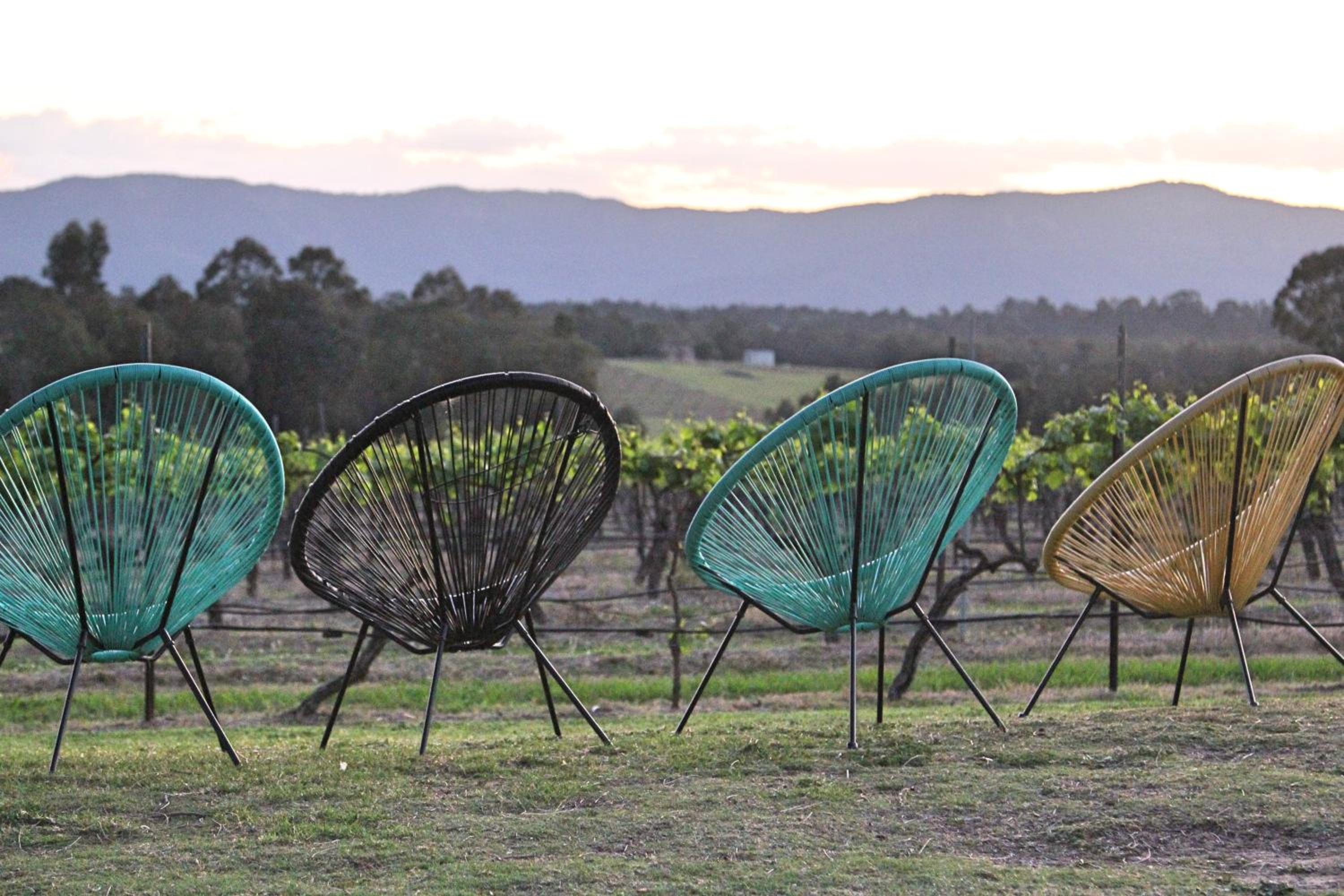 Blueberry Hill Vineyard Stay