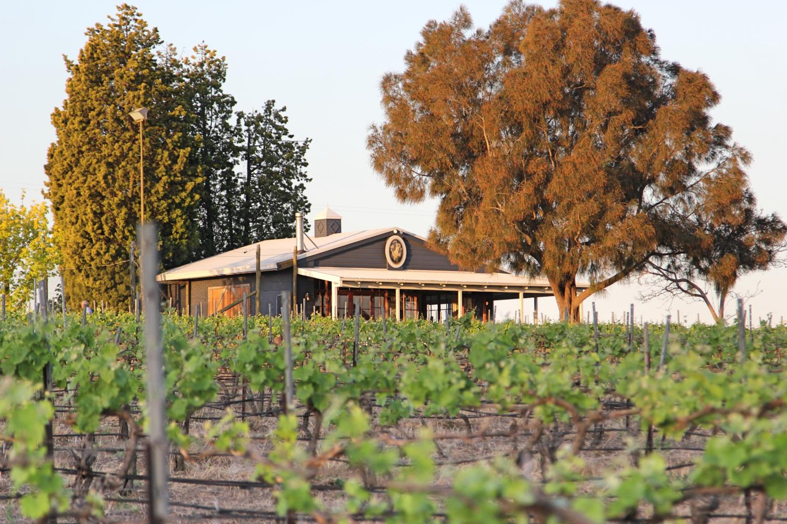 Blueberry Hill Vineyard Stay