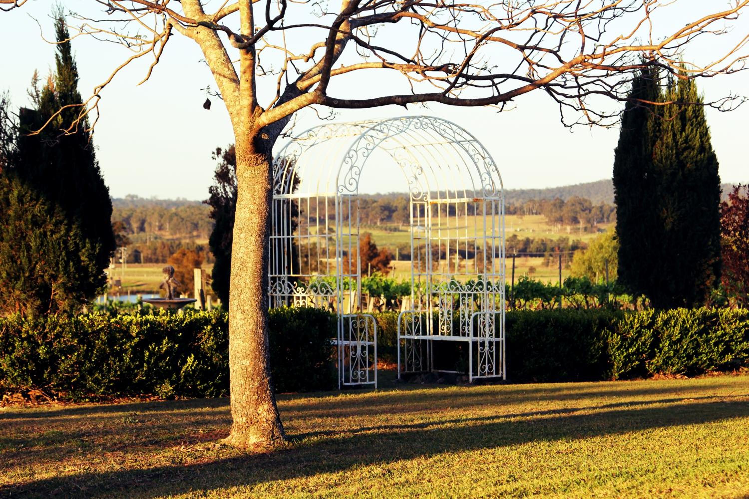 Blueberry Hill Vineyard Stay