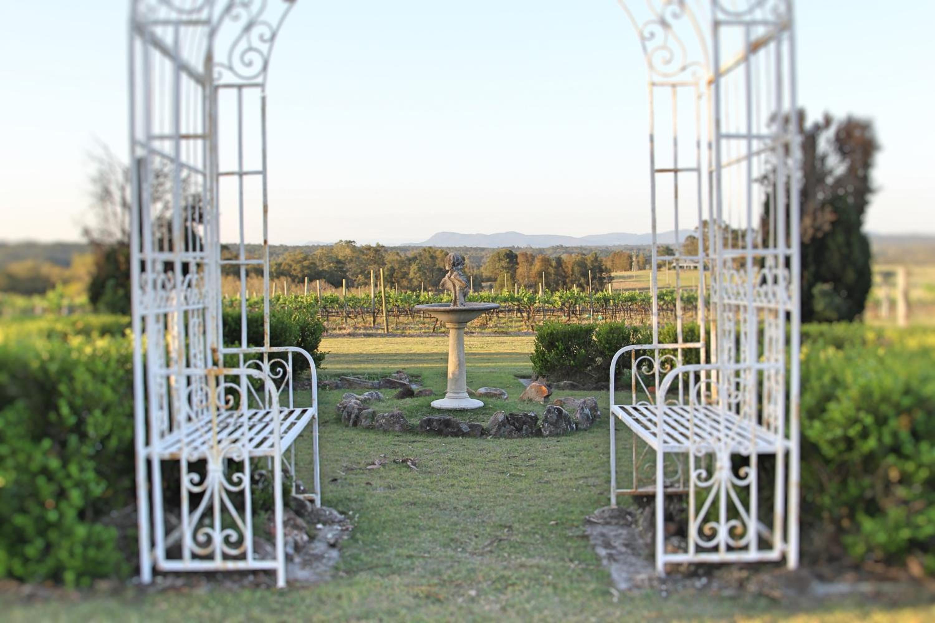 Blueberry Hill Vineyard Stay