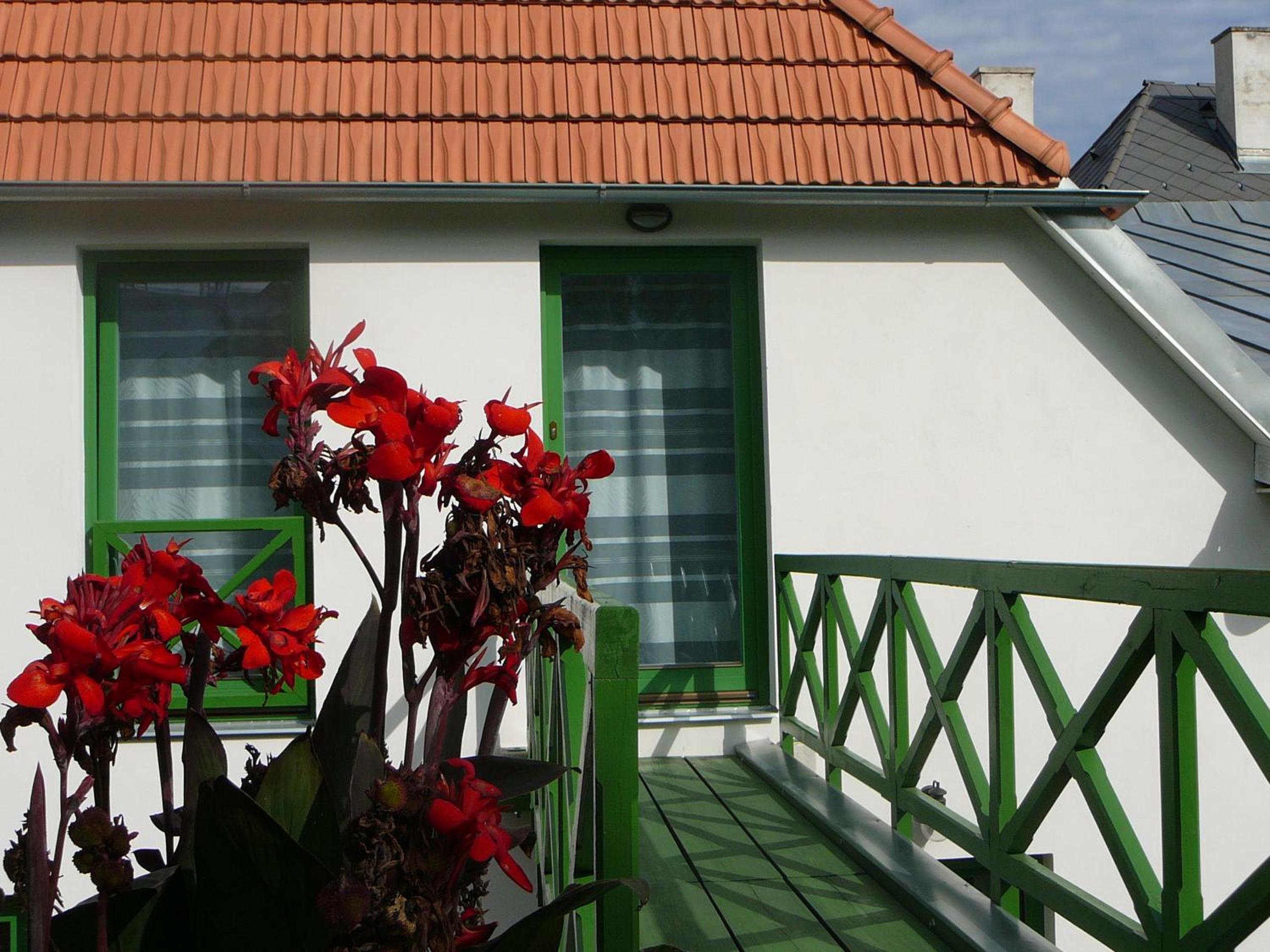Penzion-apartmán Souček