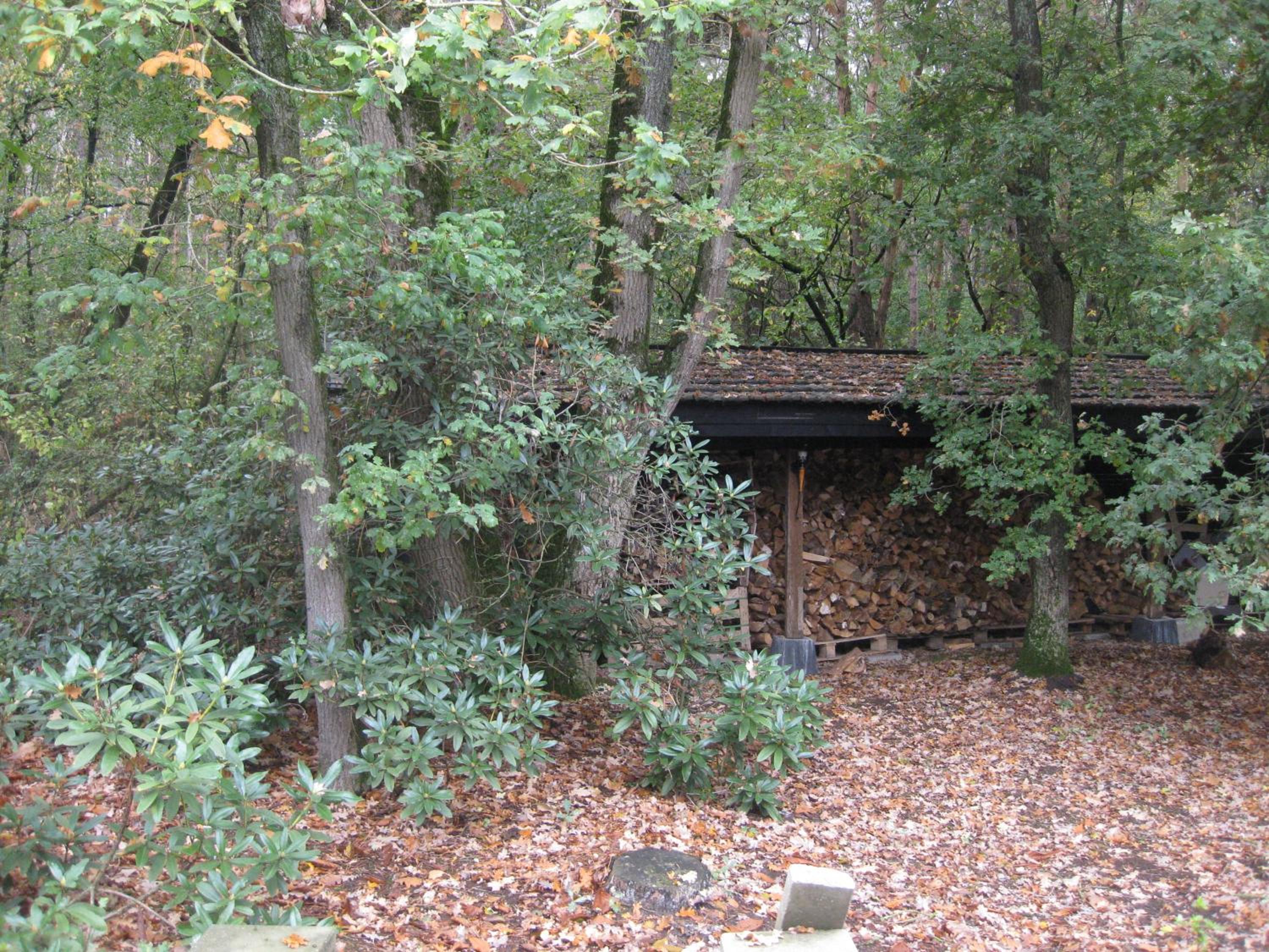 Photo 21