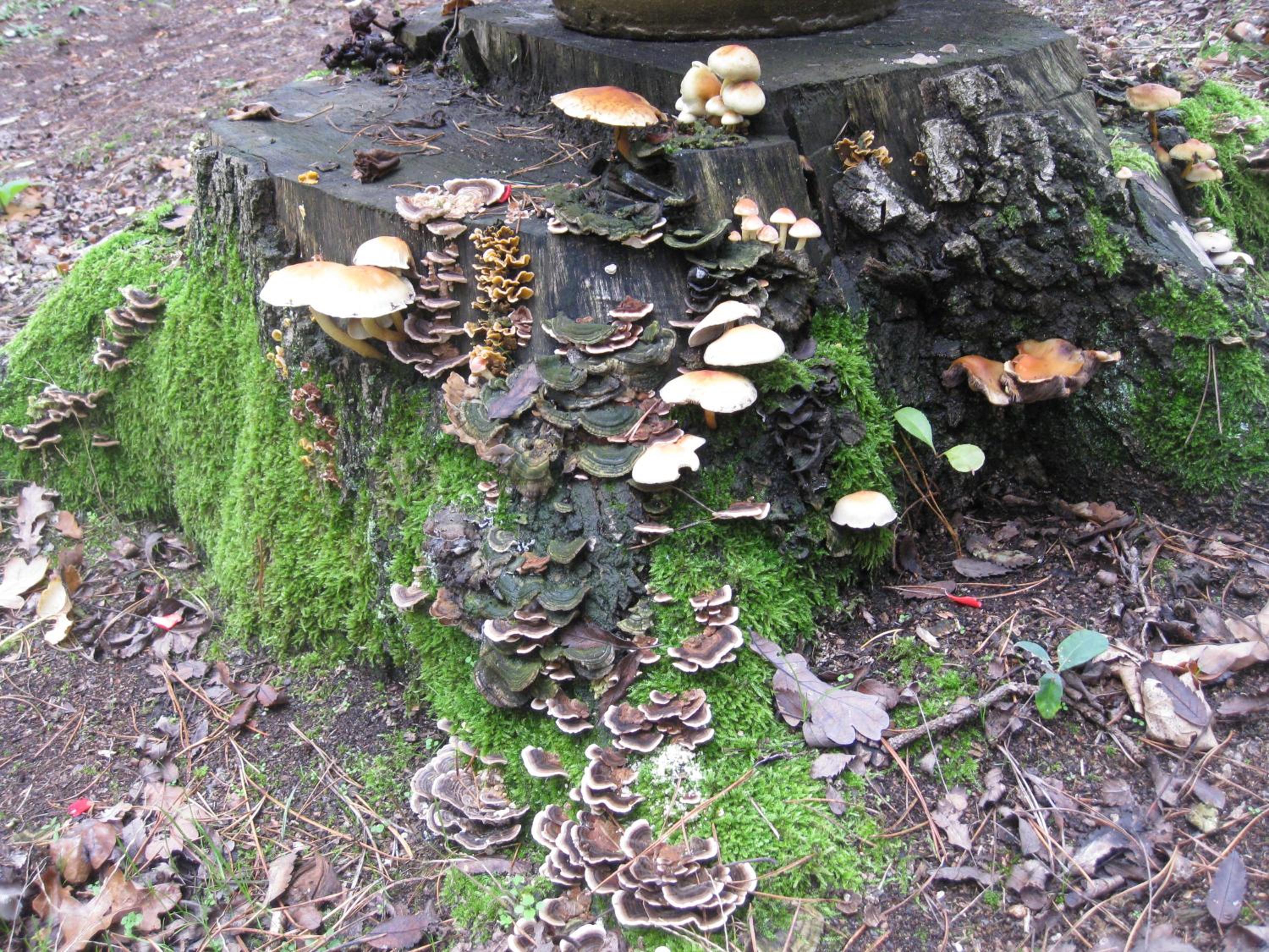 Photo 20