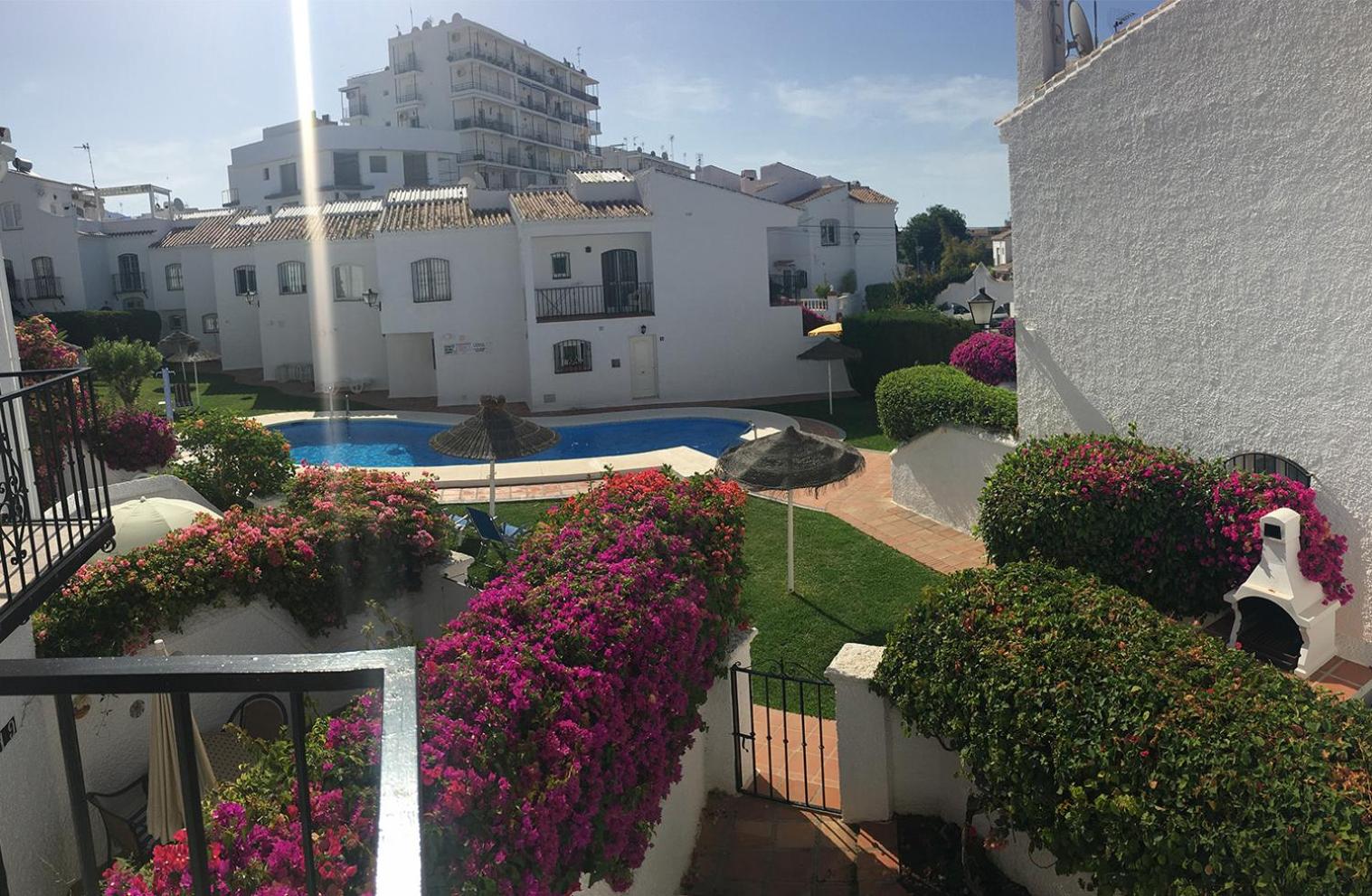 PINOS 20 MENYBER view 3