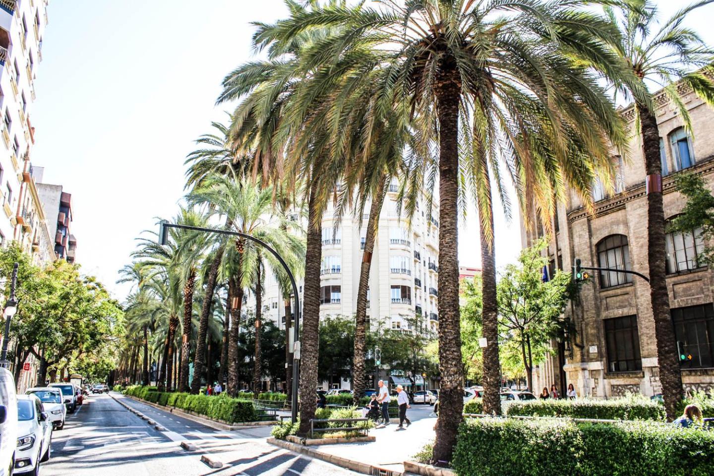 Valencia Apartamentos Goya