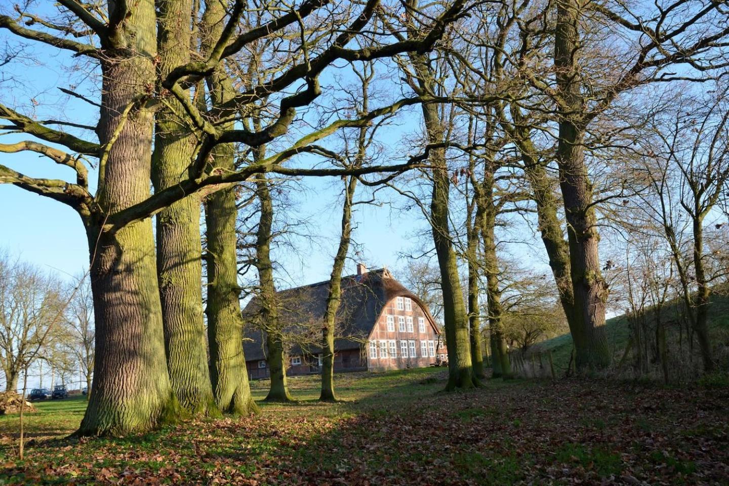 Deichkind - Reetdachhaus direkt am Elbdeich