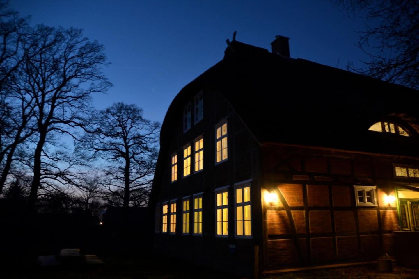 Deichkind - Reetdachhaus direkt am Elbdeich