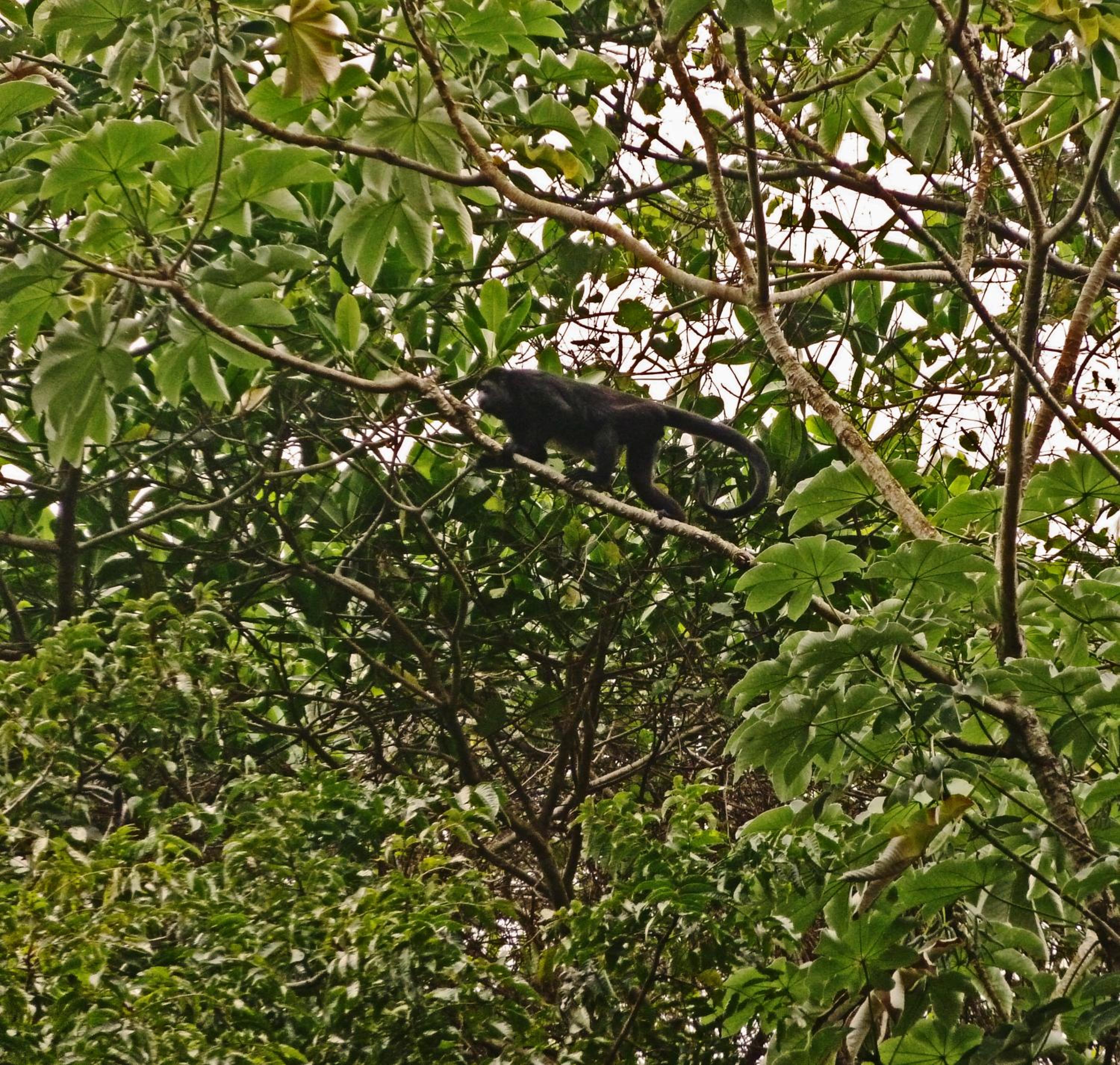 Finca El Regalo