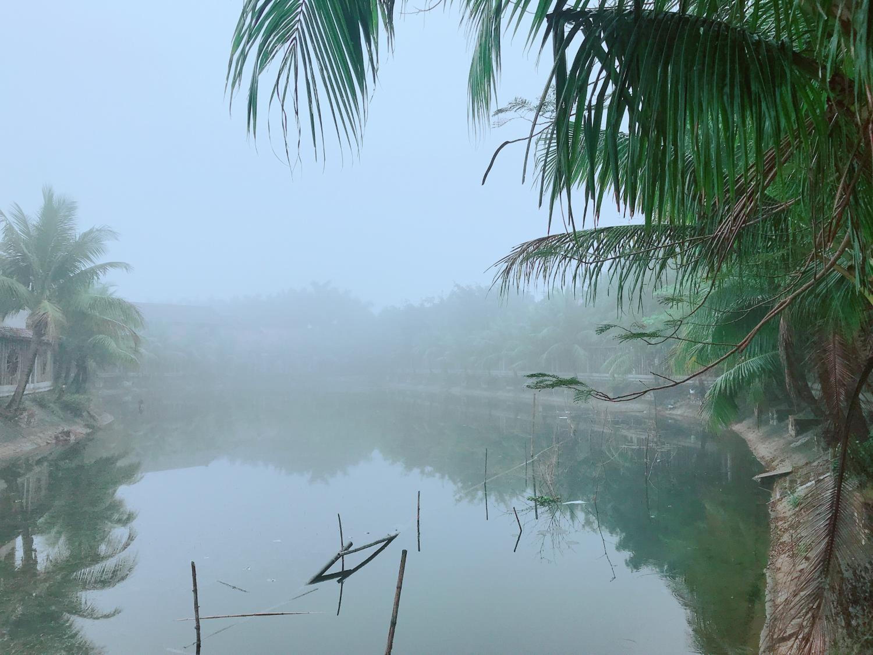 Tam Coc Tea House Homestay