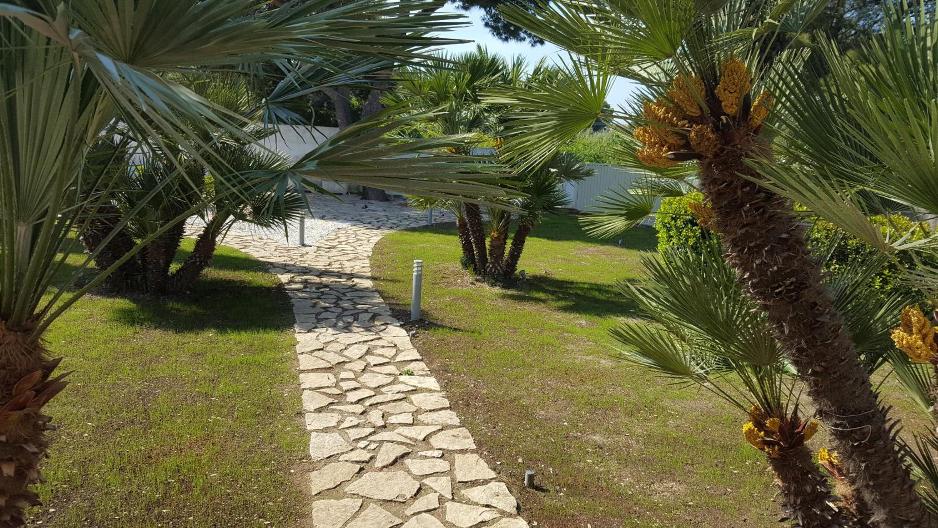 Torrelama Room & Breakfast photo 3