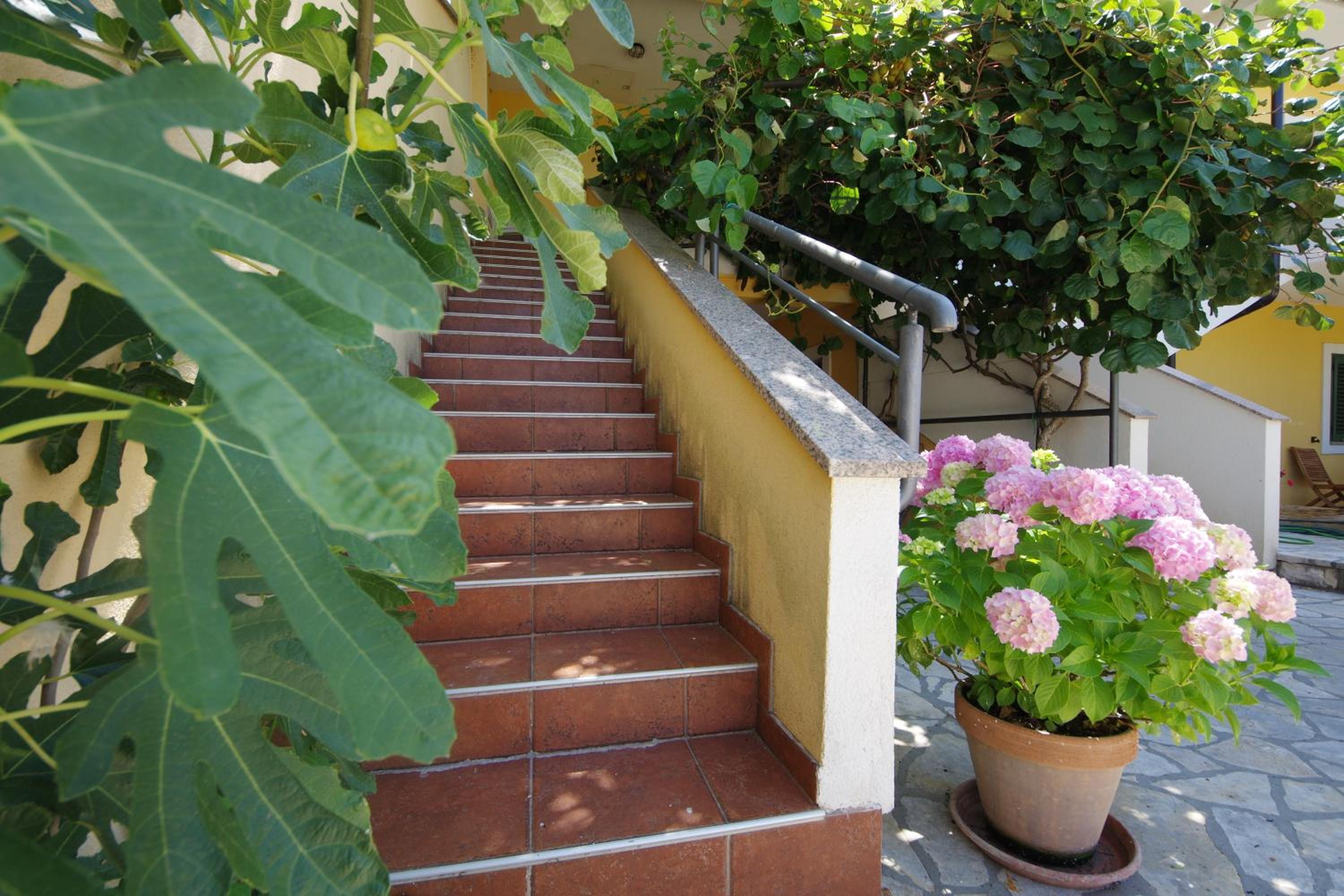 Apartman Marija view 3