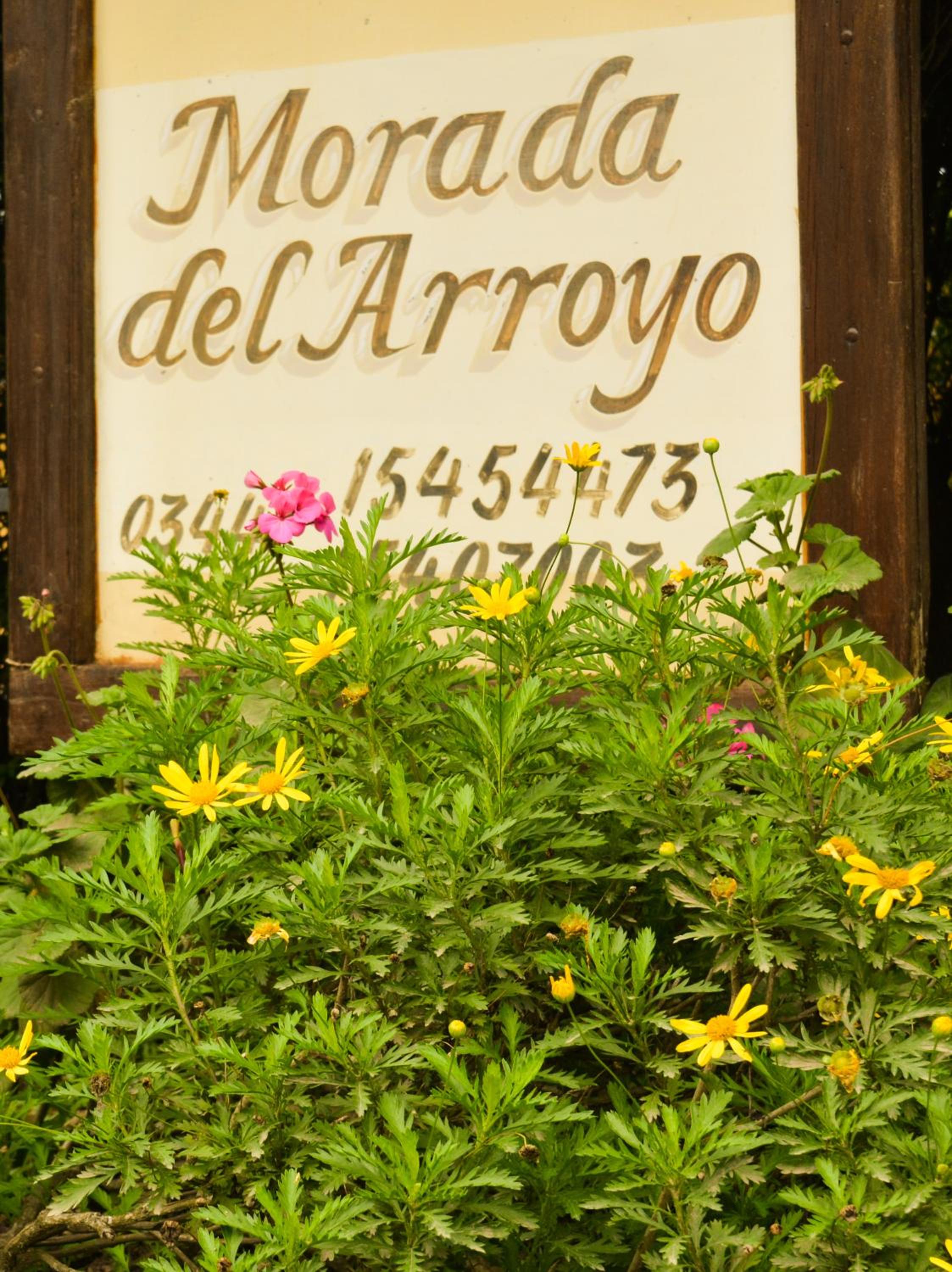 Morada del Arroyo
