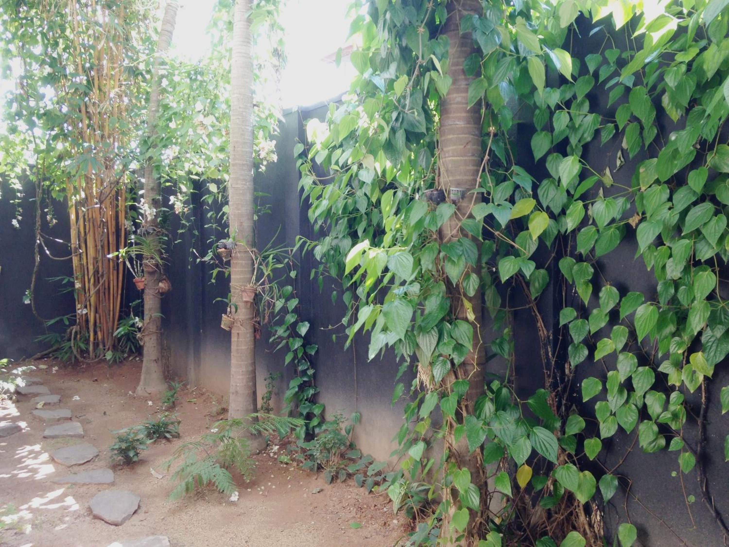 Silvikris Villa, photo 22