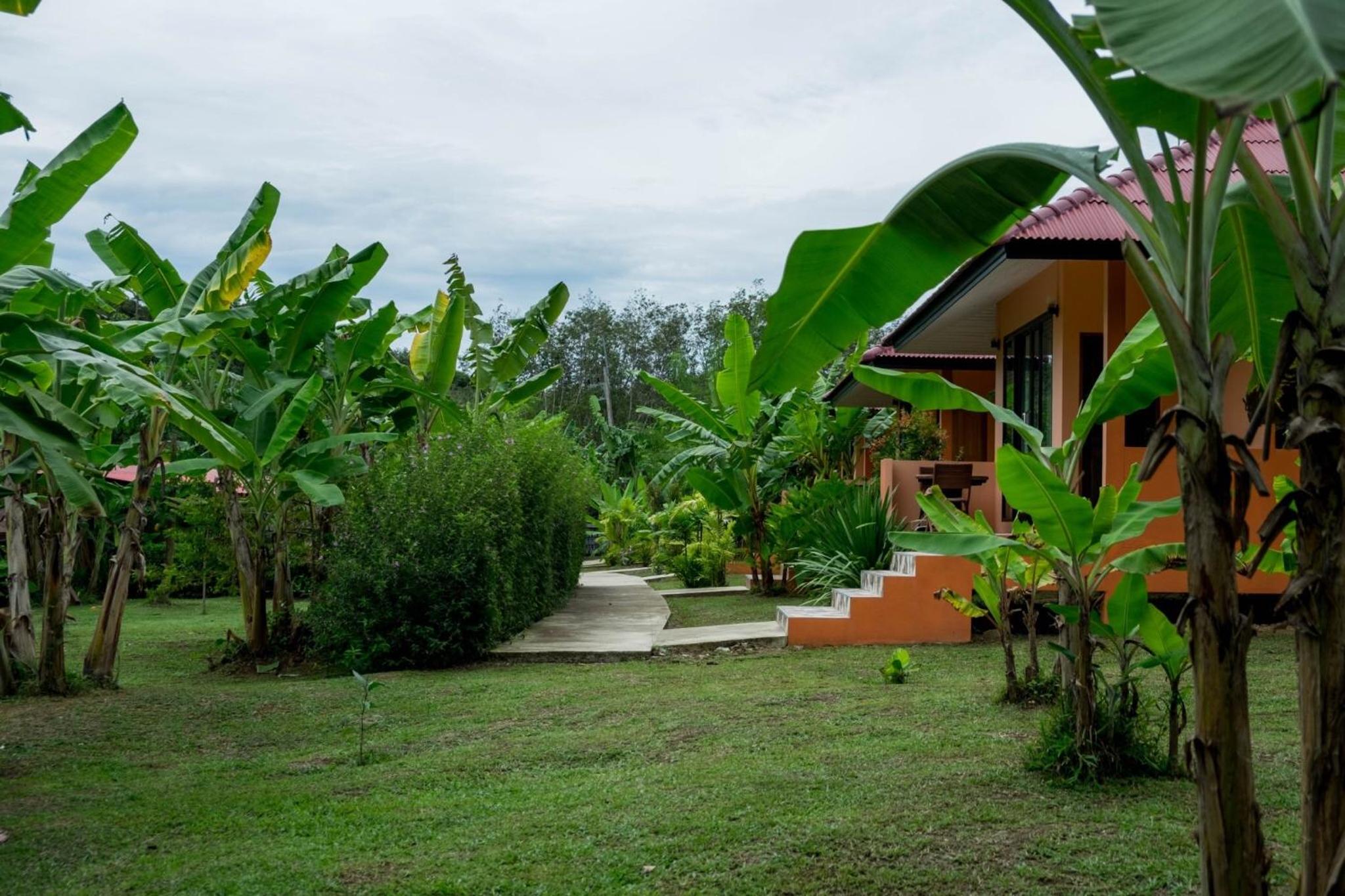 Photo 45