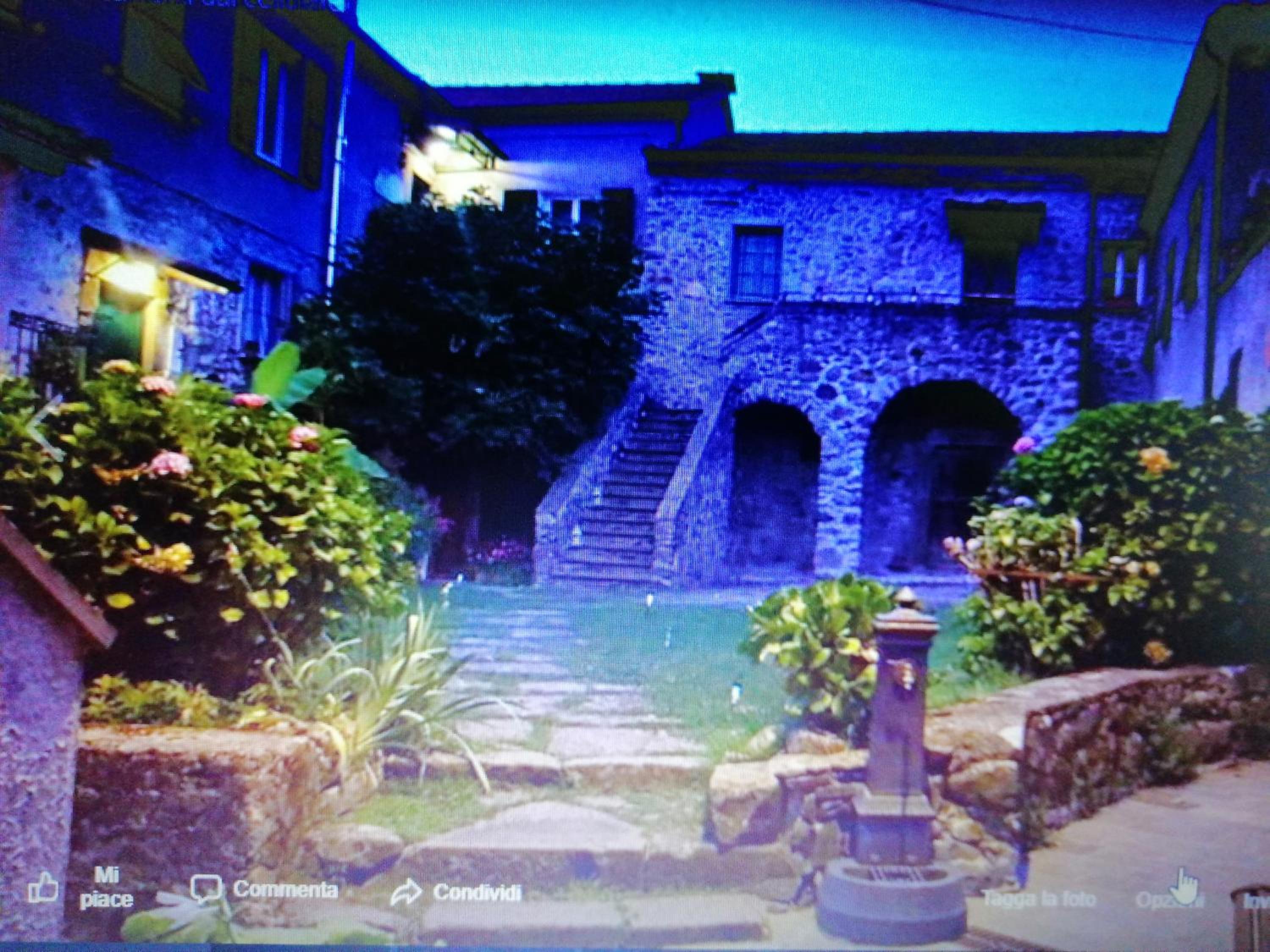 B&B Alle Ortensie Blu photo 4