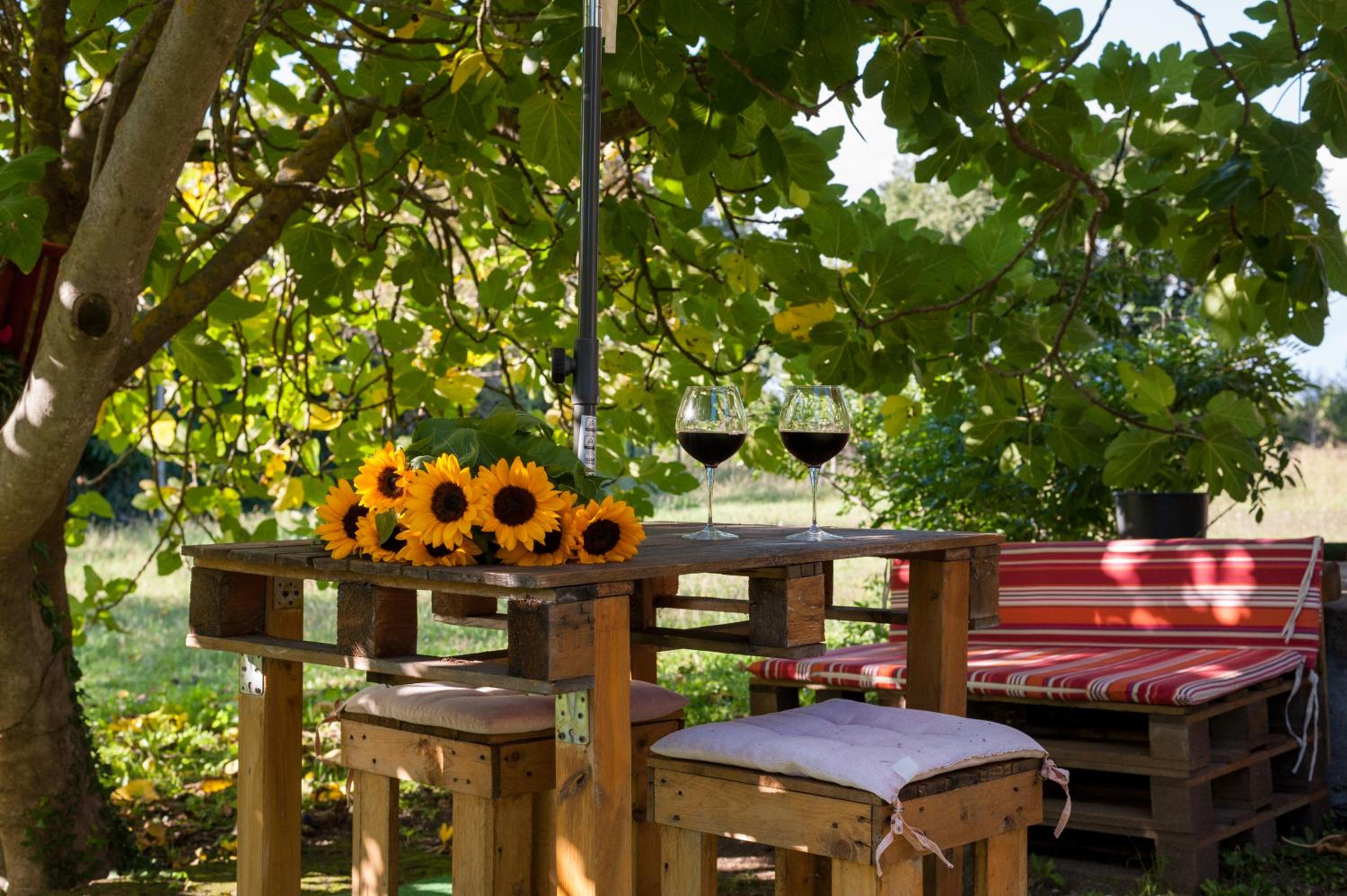 Agriturismo Podernuovo
