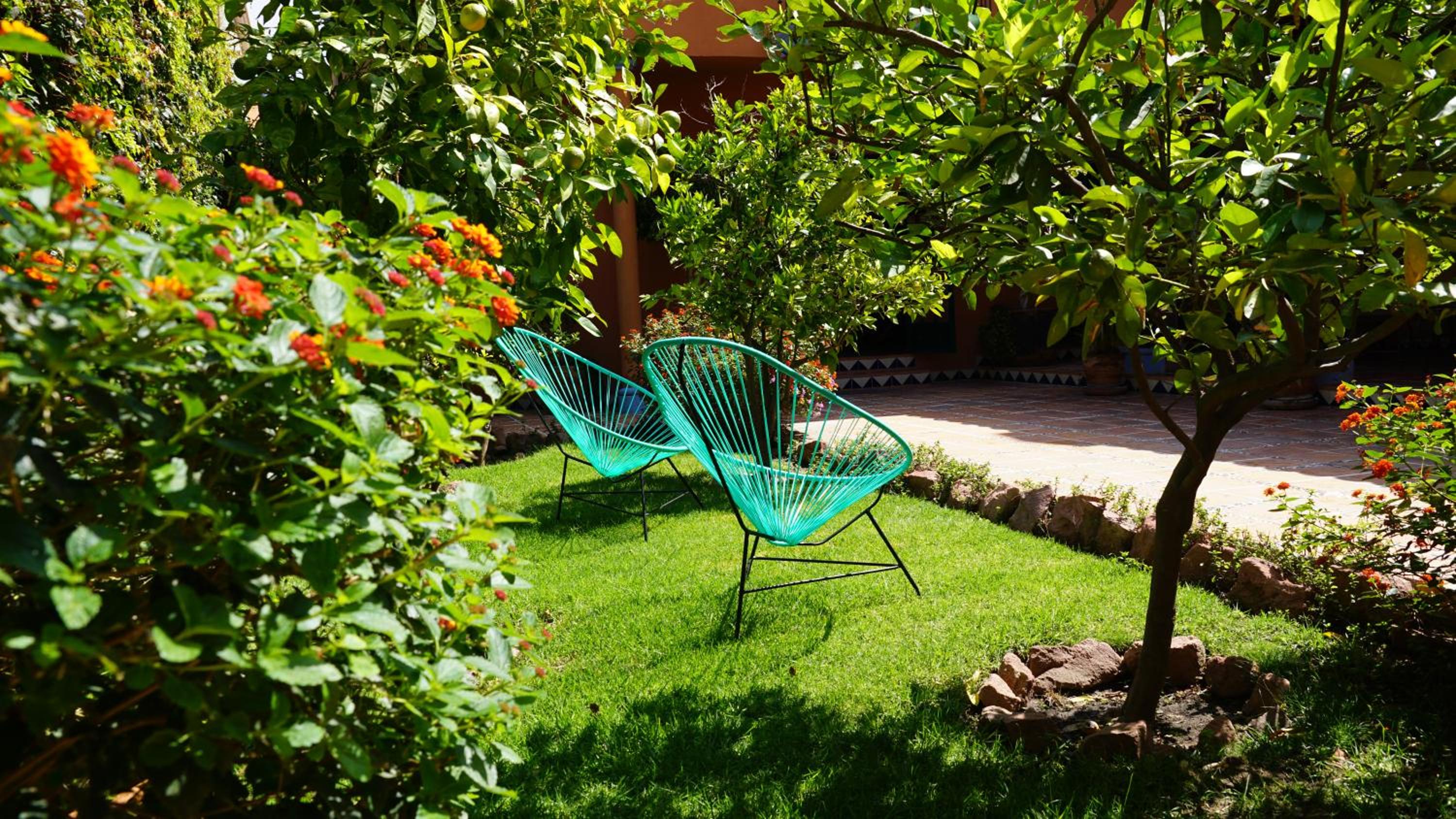 Casa Frida B&B — photo 3