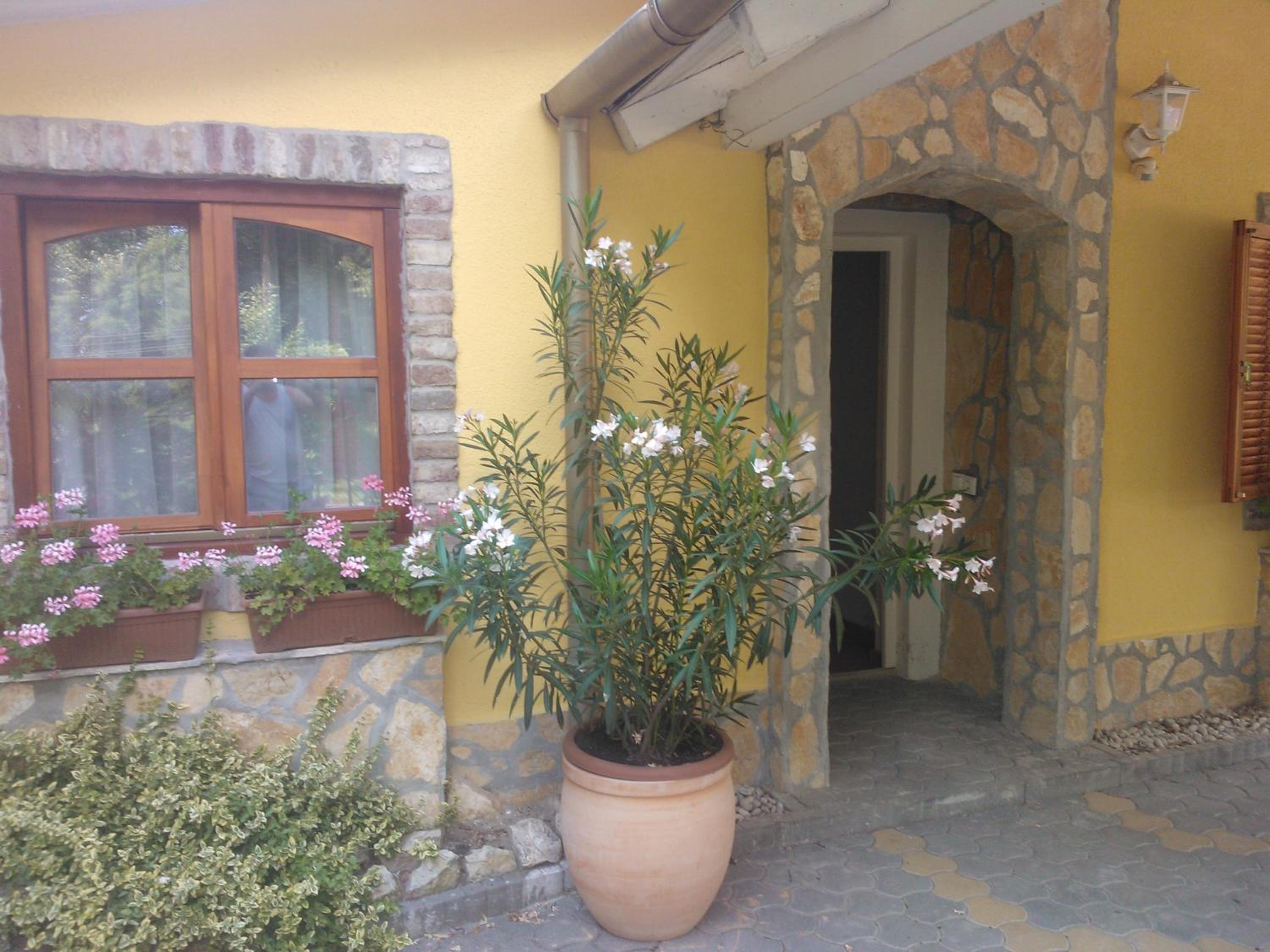 Photo 52