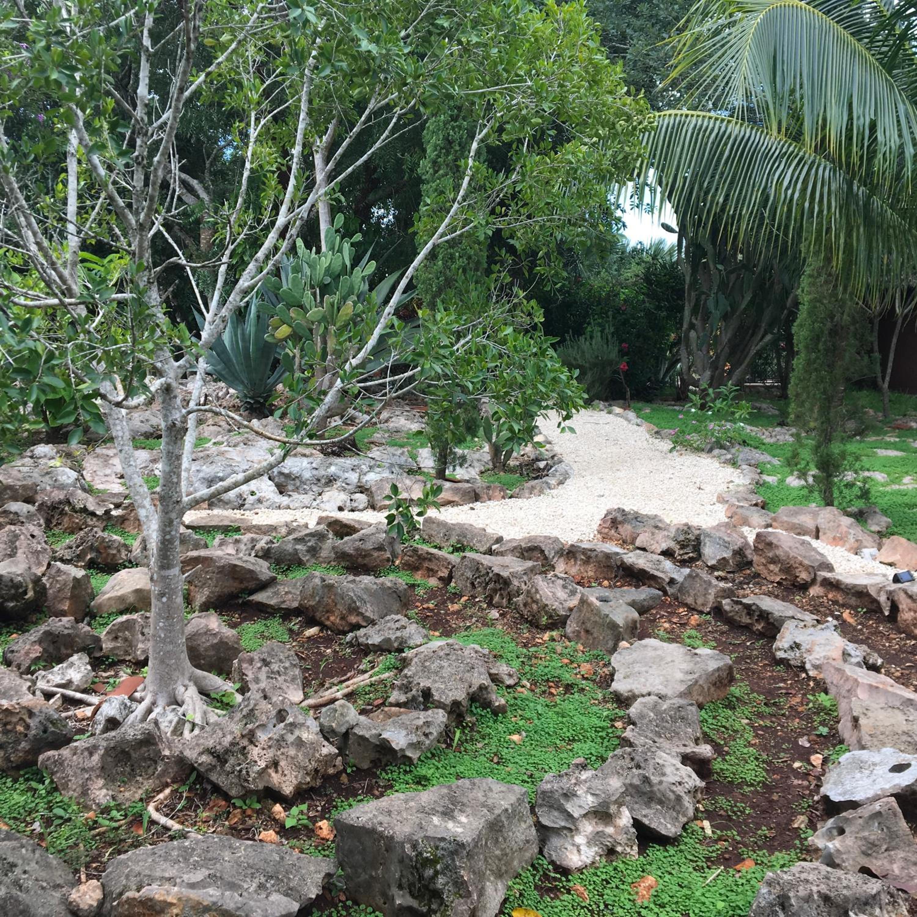 Photo 16