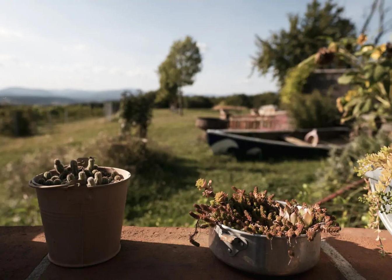 amberner Penthouse