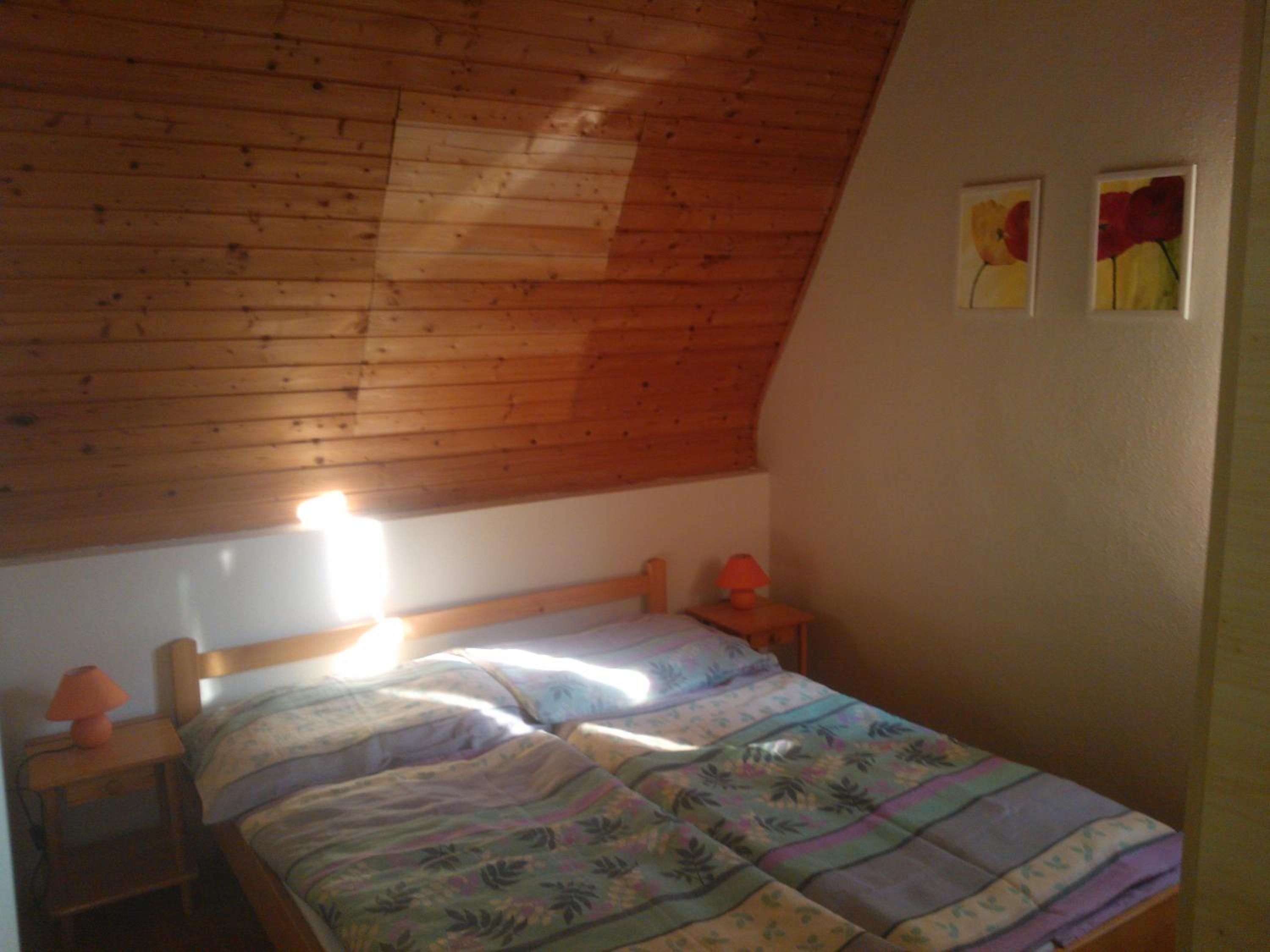 Photo 50