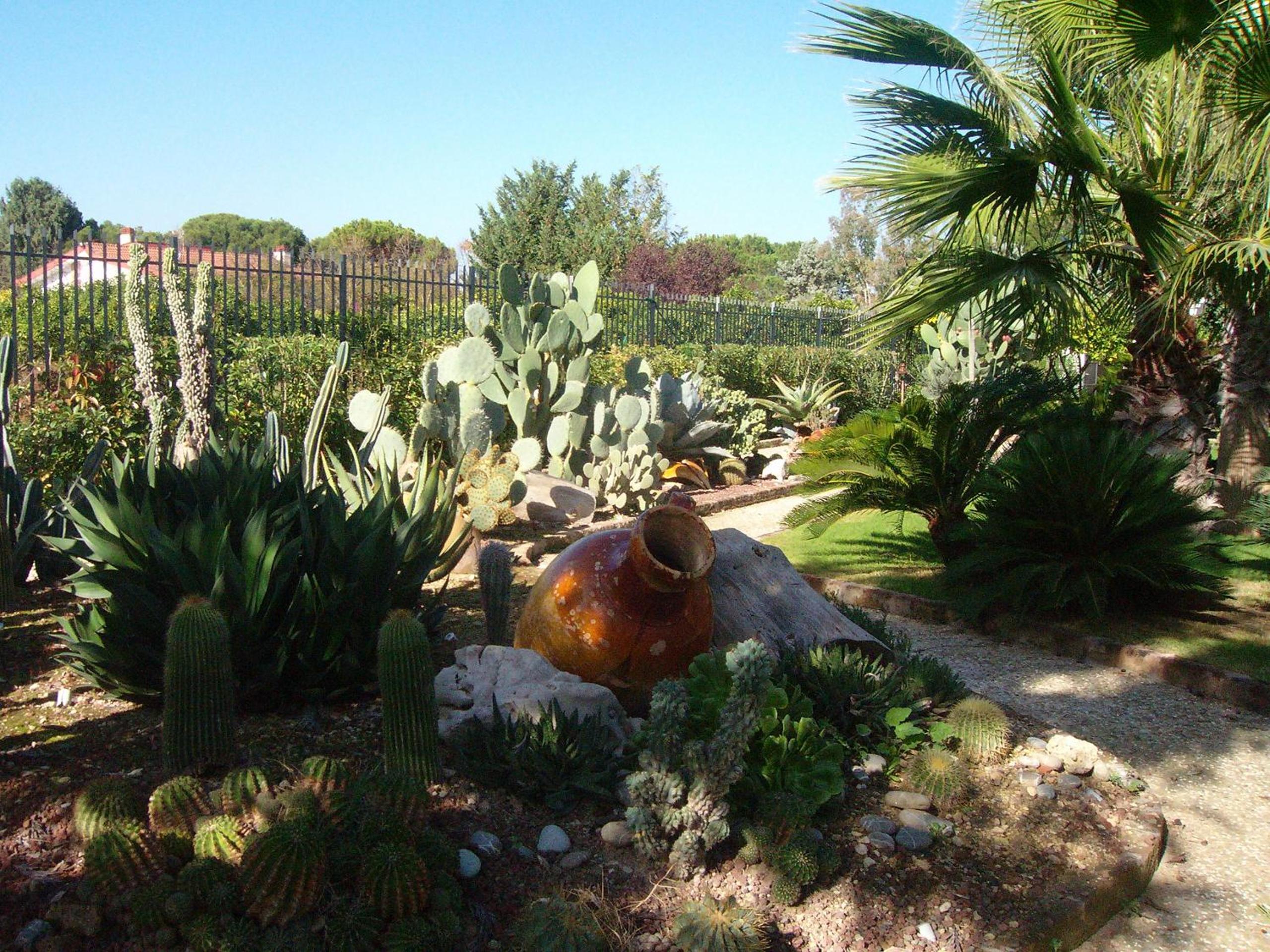 Photo 43