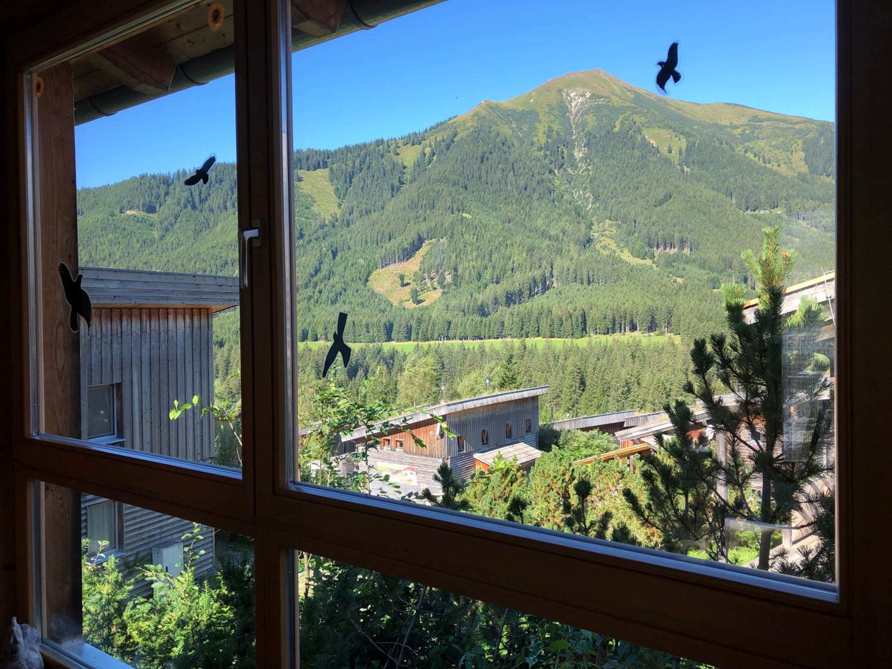 Zirbelhütte
