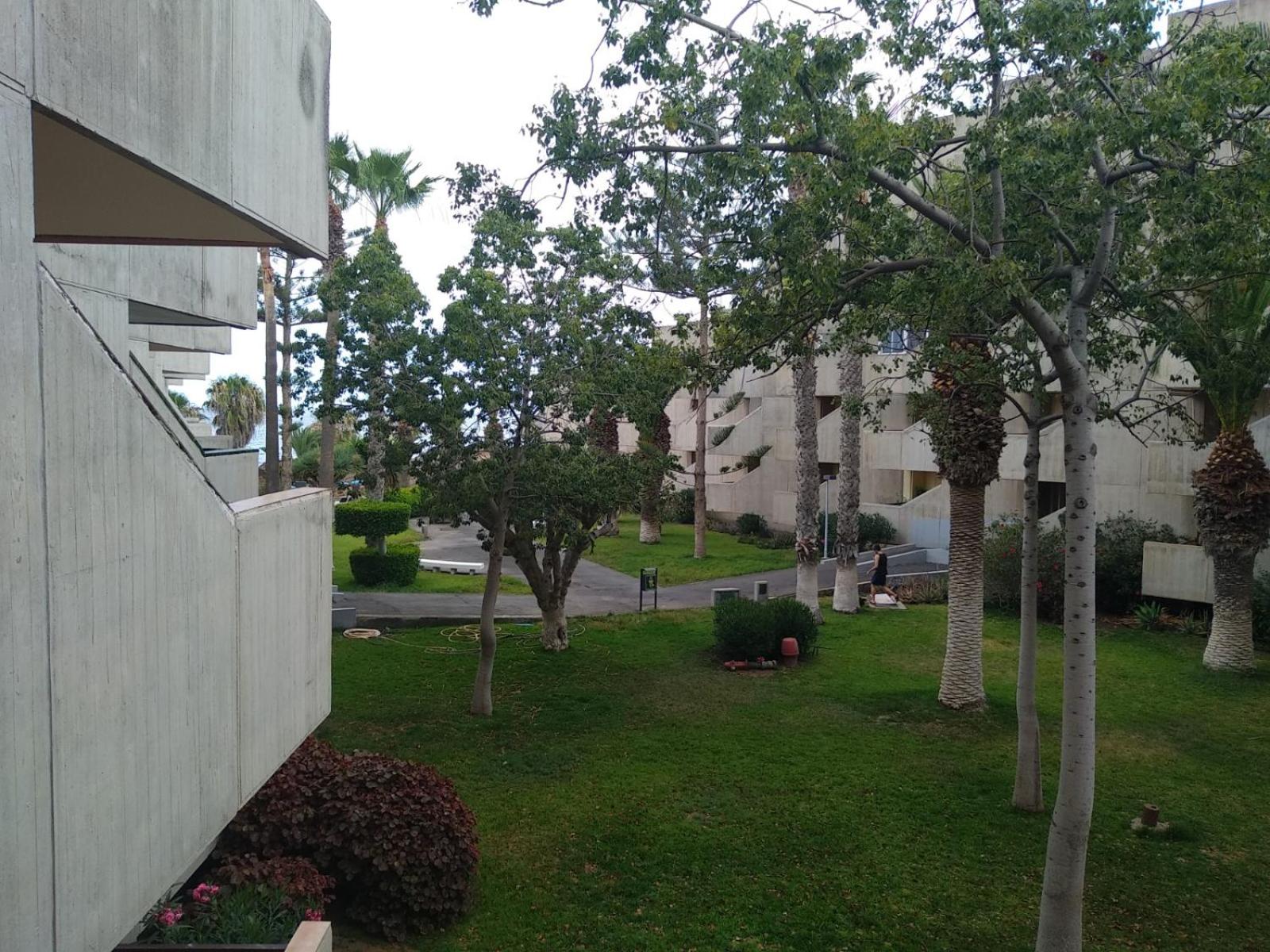 Garden view apartment in Las Galletas view 4