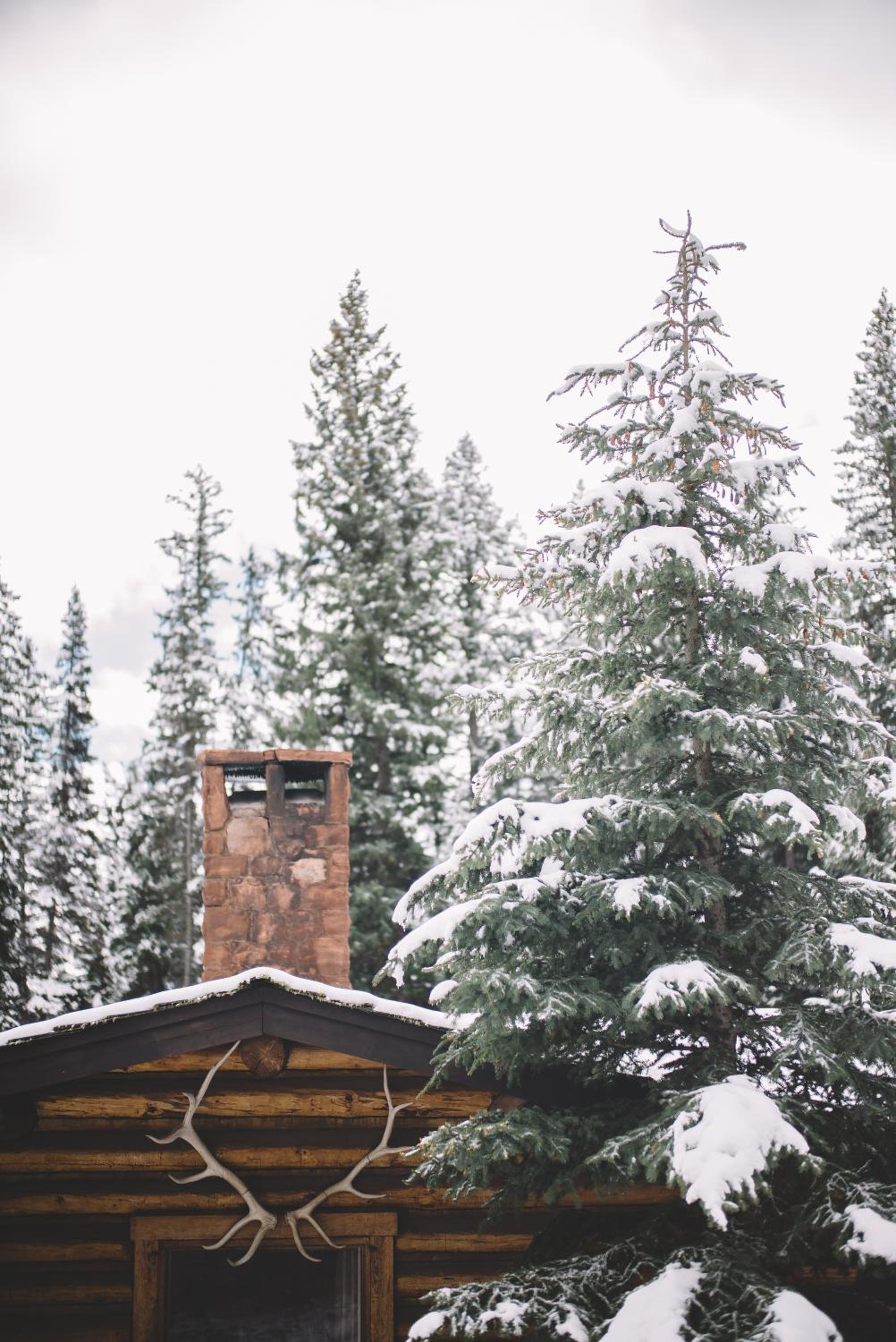 Lone Mountain Ranch