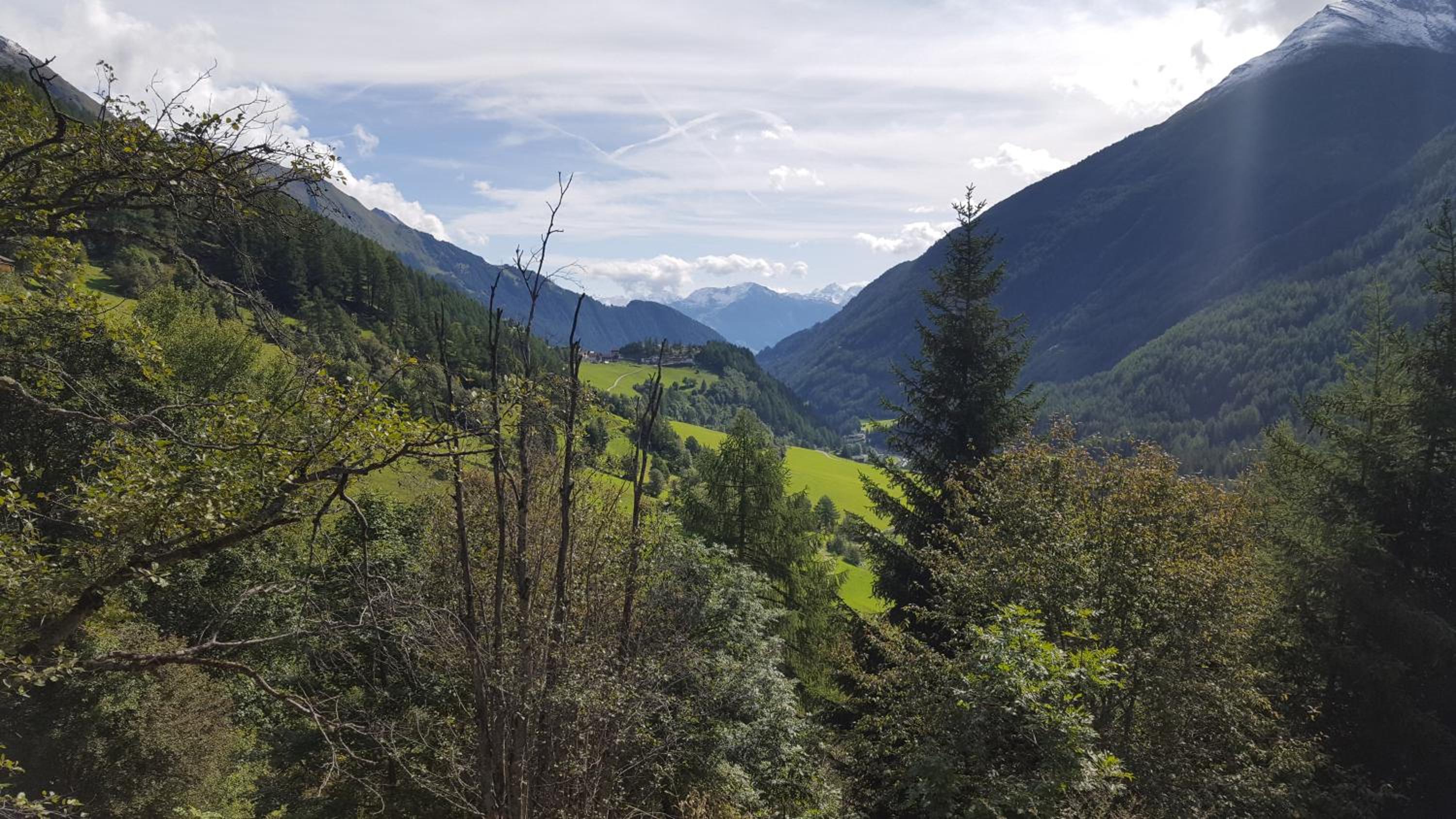 Virgentaler Alp