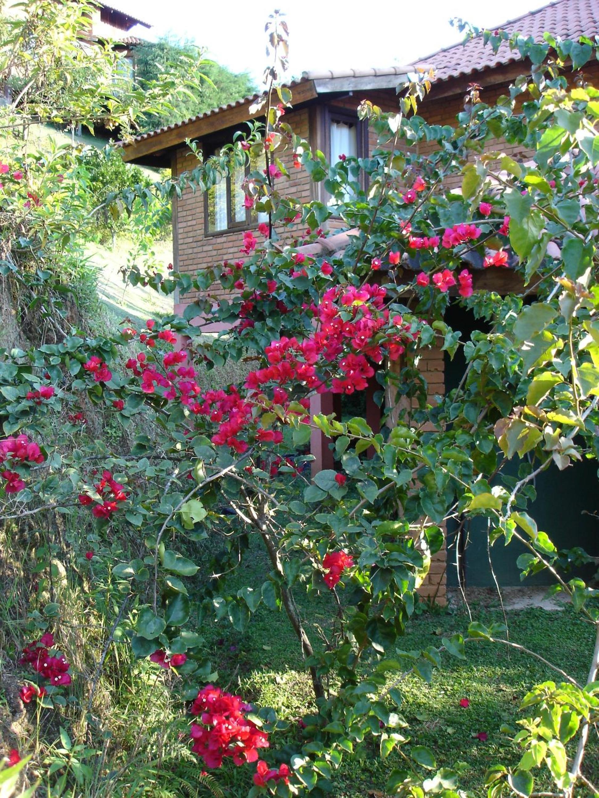 Photo 49