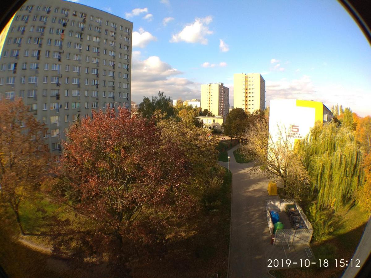 Photo 38