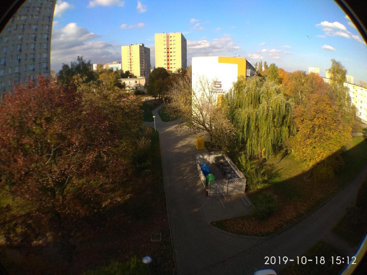 Photo 39