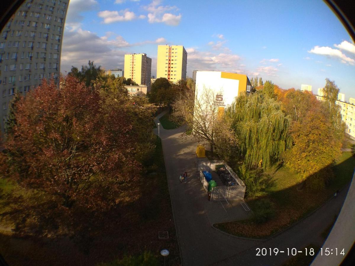 Photo 35