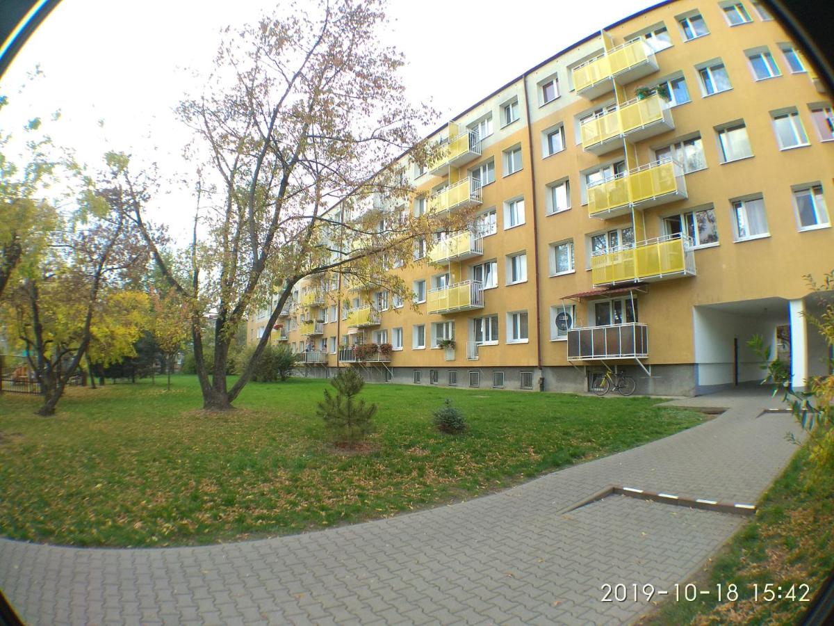 Photo 44