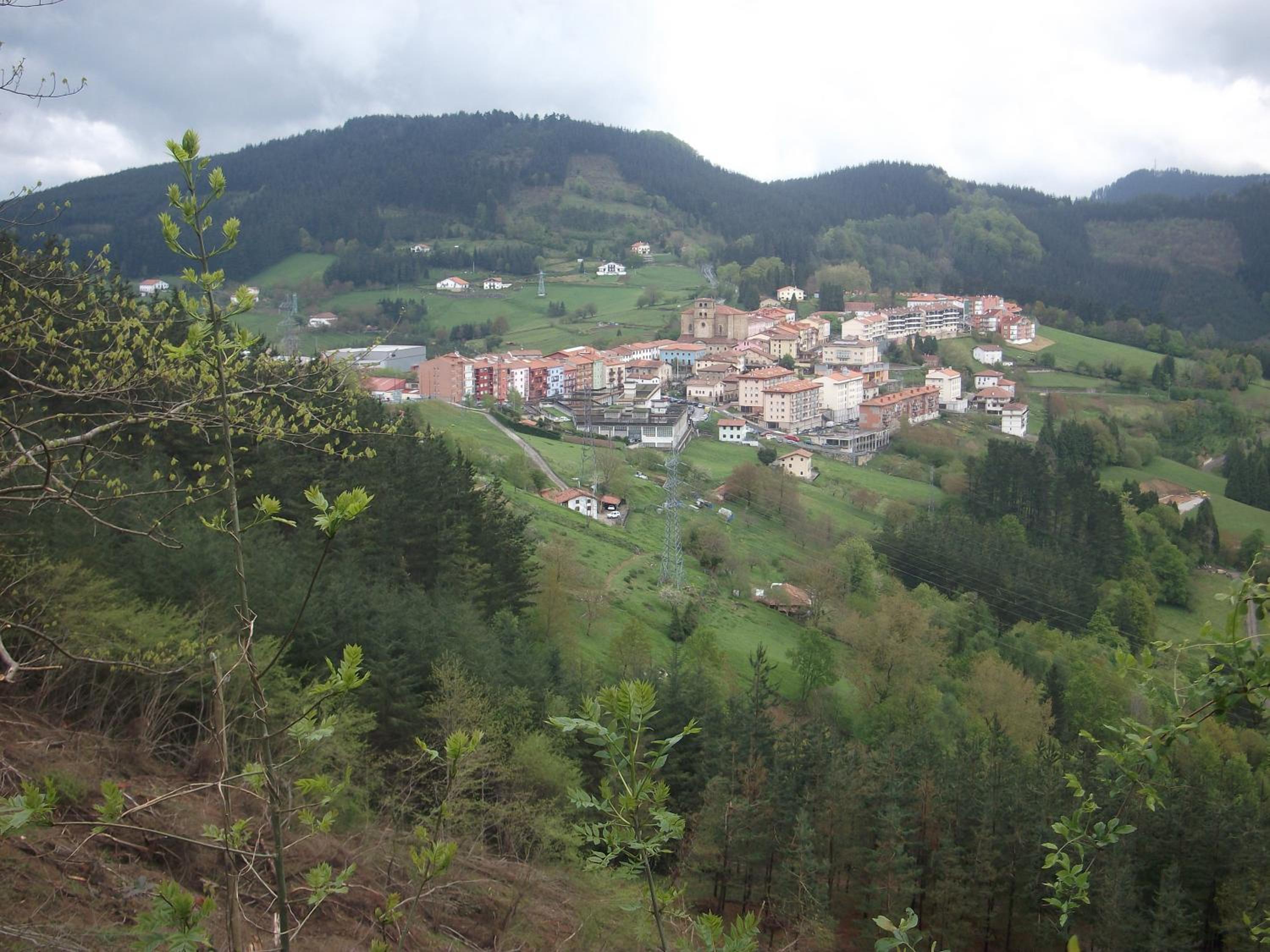 Photo 23