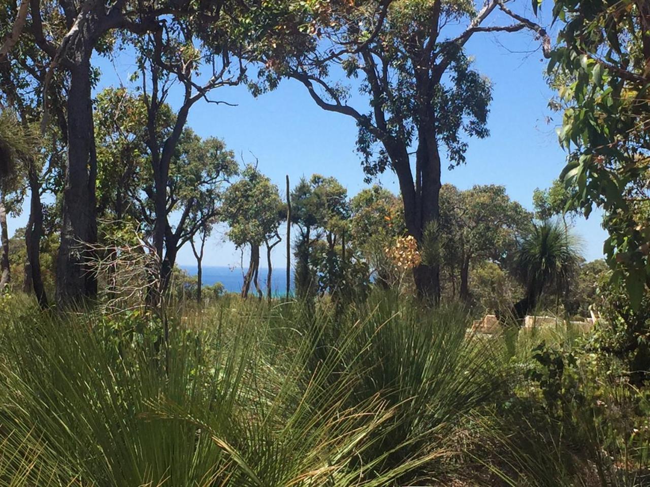 Eagle Bay House